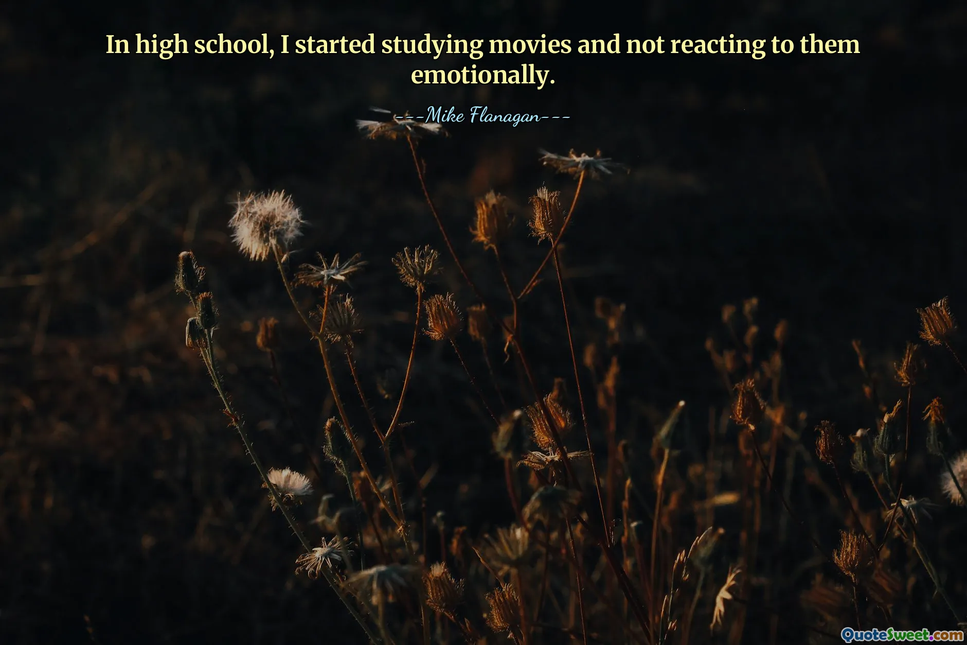 Na střední škole jsem začal studovat filmy a nereagovat na ně emocionálně.