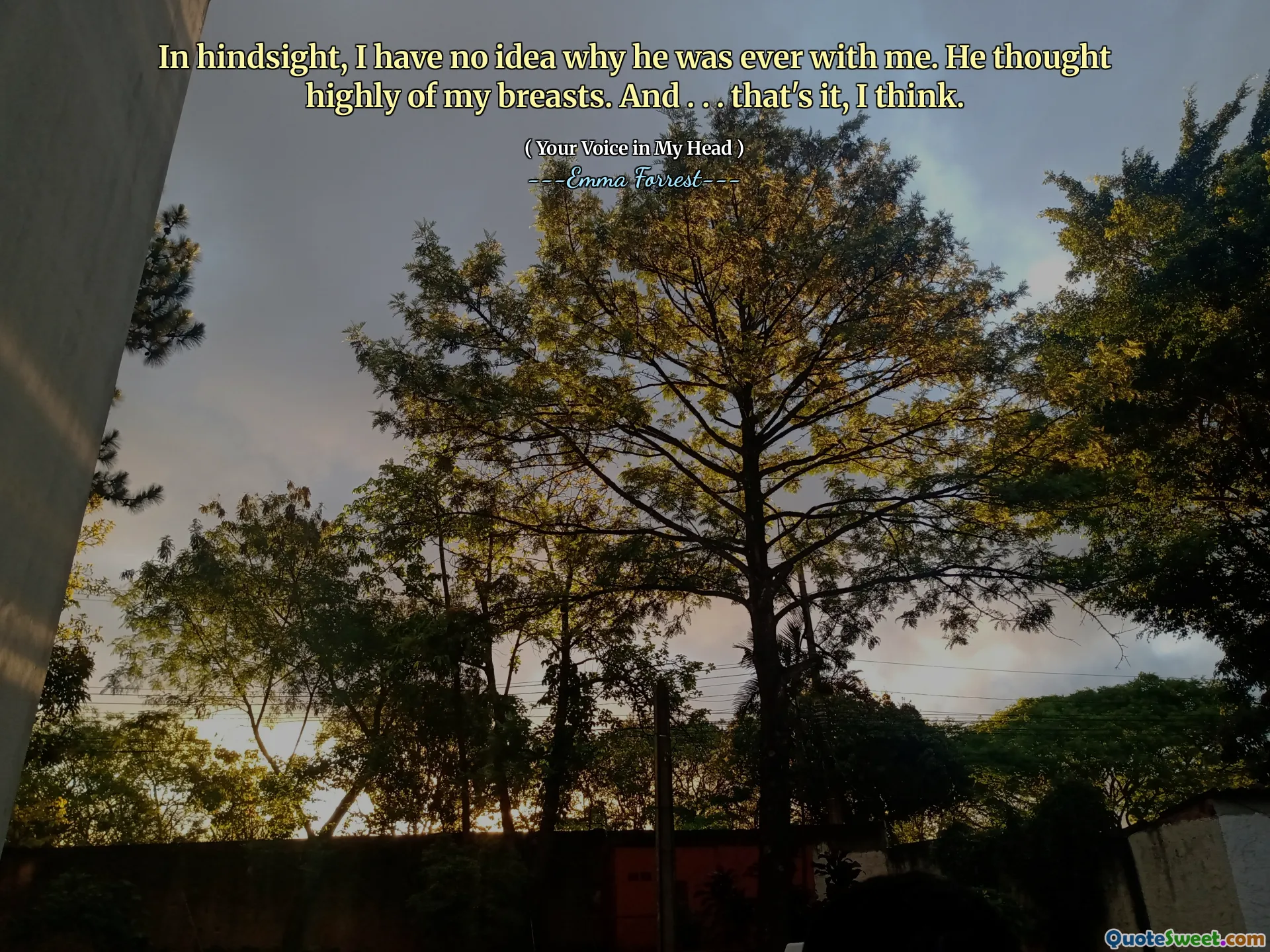 In hindsight, I have no idea why he was ever with me. He thought highly of my breasts. And . . . that's it, I think.