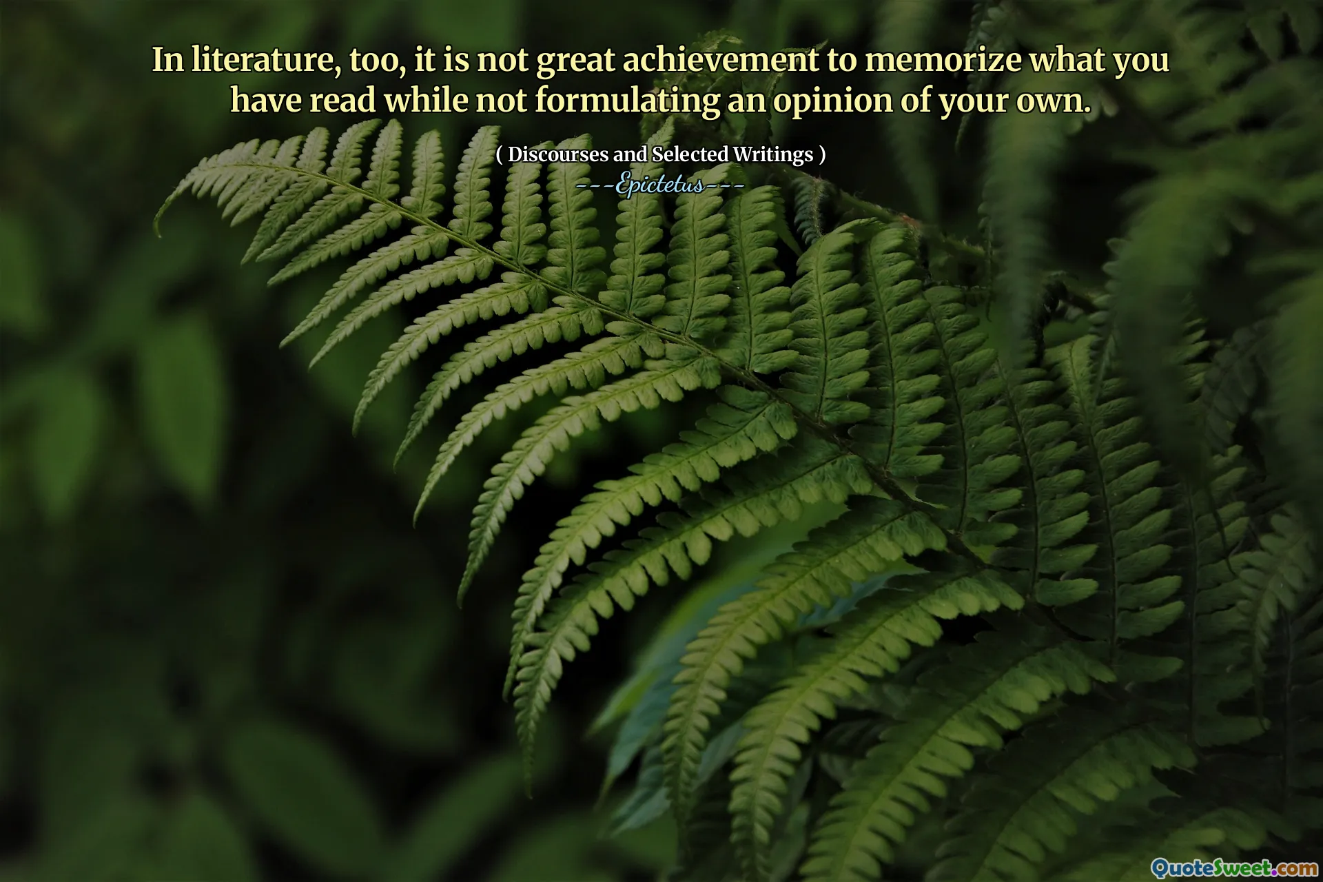 Även i litteraturen är det inte stor prestation att memorera det du har läst medan du inte formulerar en åsikt.