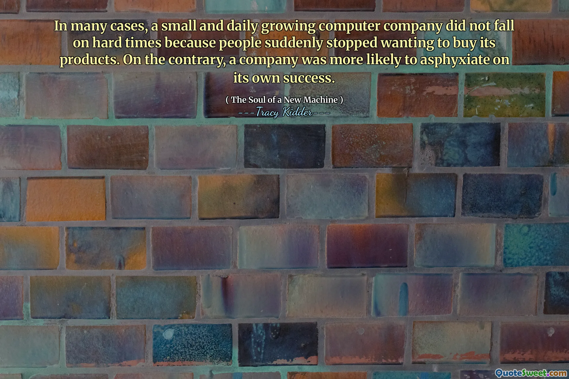 Birçok durumda, küçük ve günlük büyüyen bir bilgisayar şirketi zor zamanlara düşmedi çünkü insanlar aniden ürünlerini satın almak istemeyi bıraktı. Aksine, bir şirketin kendi başarısına boğulma olasılığı daha yüksekti.