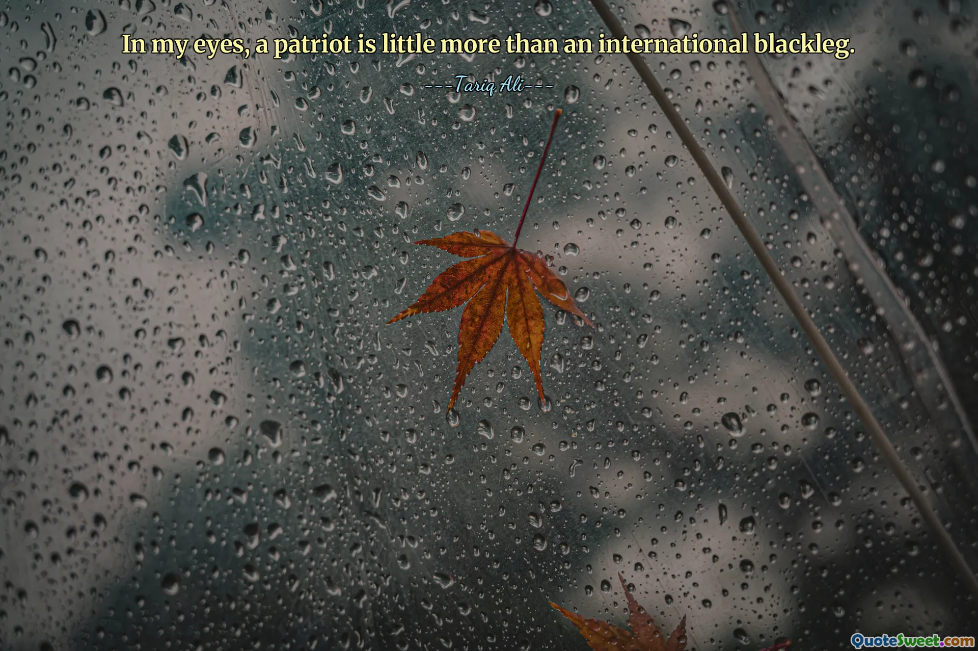 In my eyes, a patriot is little more than an international blackleg.