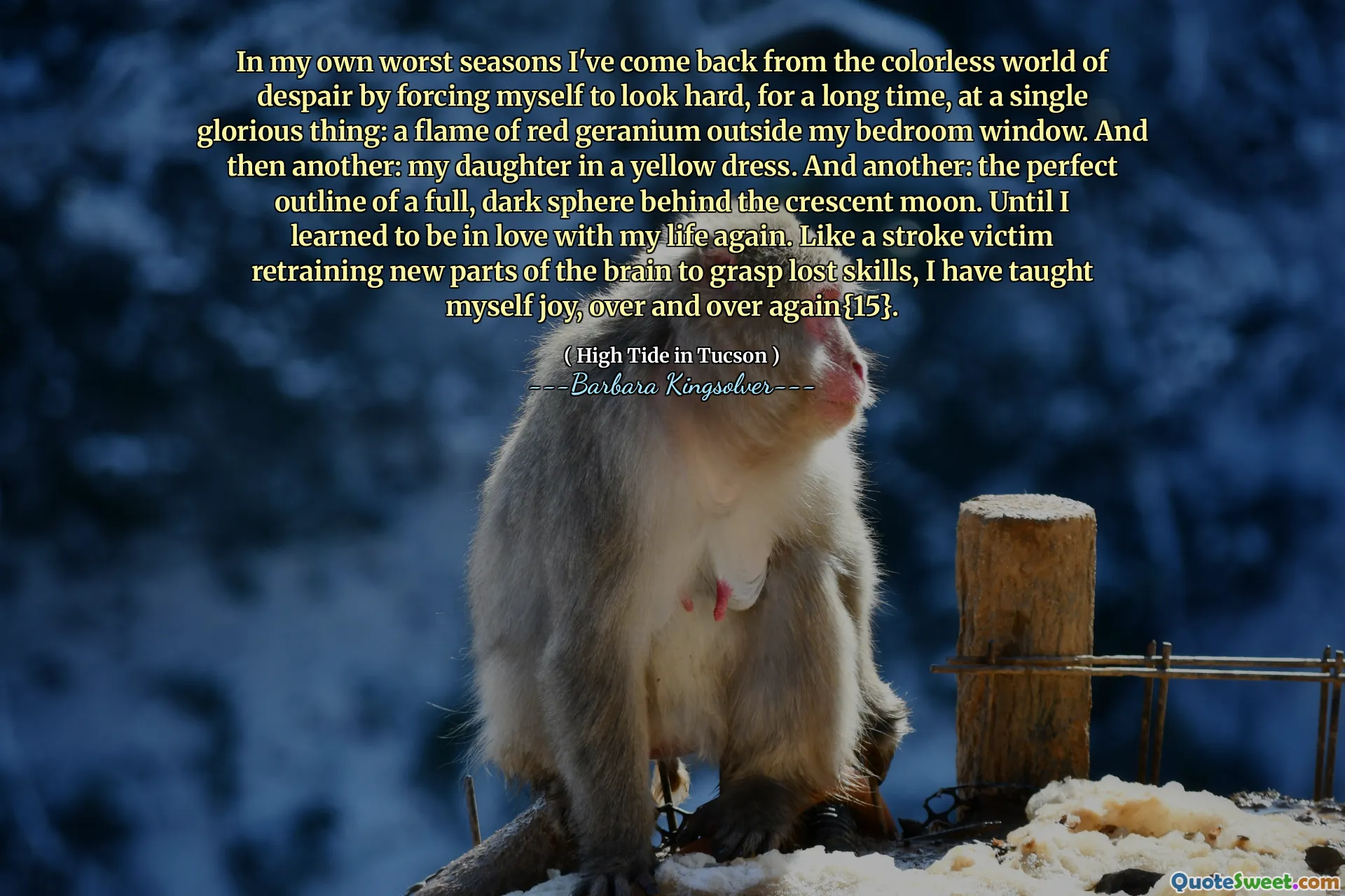 In my own worst seasons I've come back from the colorless world of despair by forcing myself to look hard, for a long time, at a single glorious thing: a flame of red geranium outside my bedroom window. And then another: my daughter in a yellow dress. And another: the perfect outline of a full, dark sphere behind the crescent moon. Until I learned to be in love with my life again. Like a stroke victim retraining new parts of the brain to grasp lost skills, I have taught myself joy, over and over again{15}.