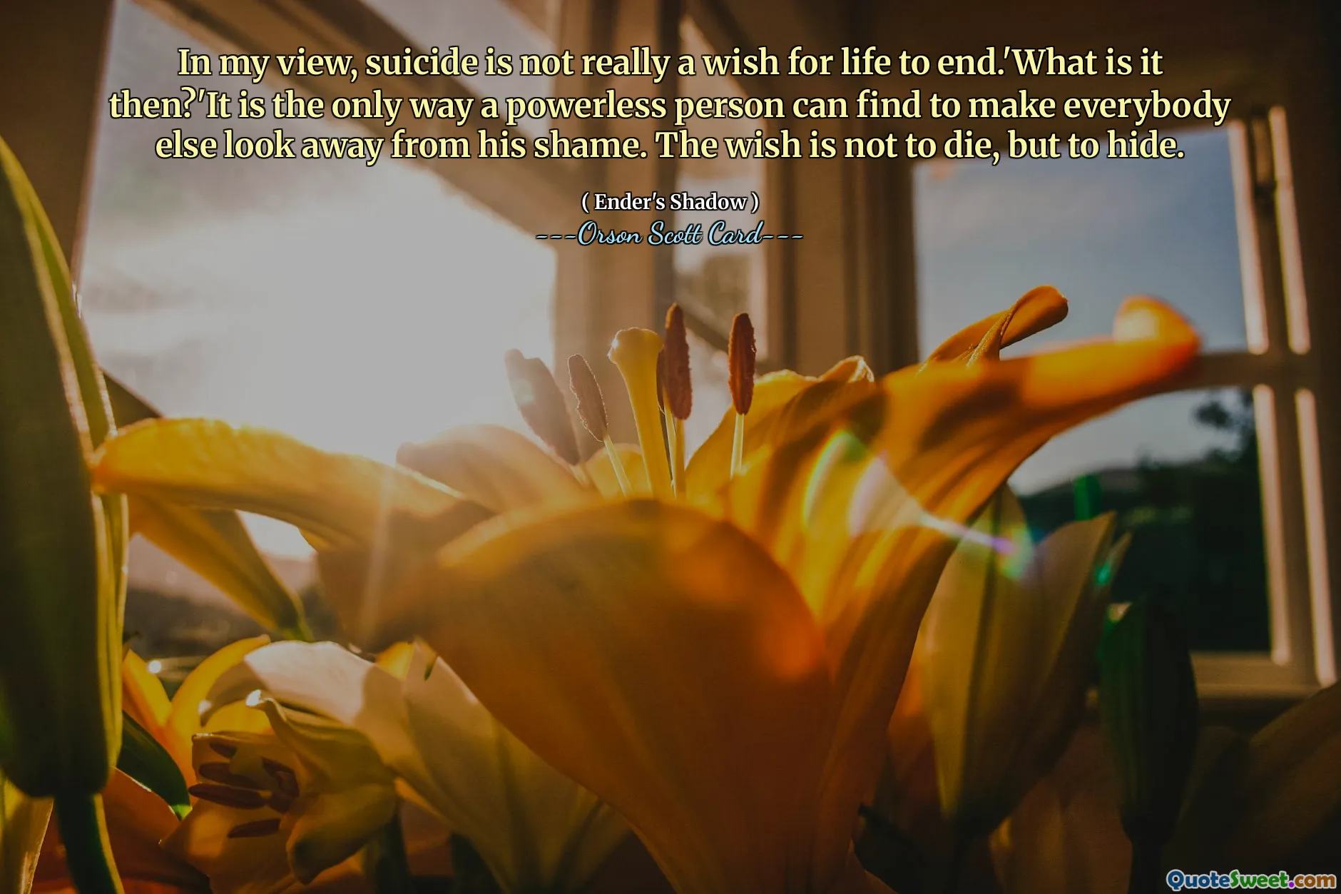 În opinia mea, sinuciderea nu este într -adevăr o dorință pentru a se termina viața. 'Ce este atunci? Dorința este să nu moară, ci să se ascundă.