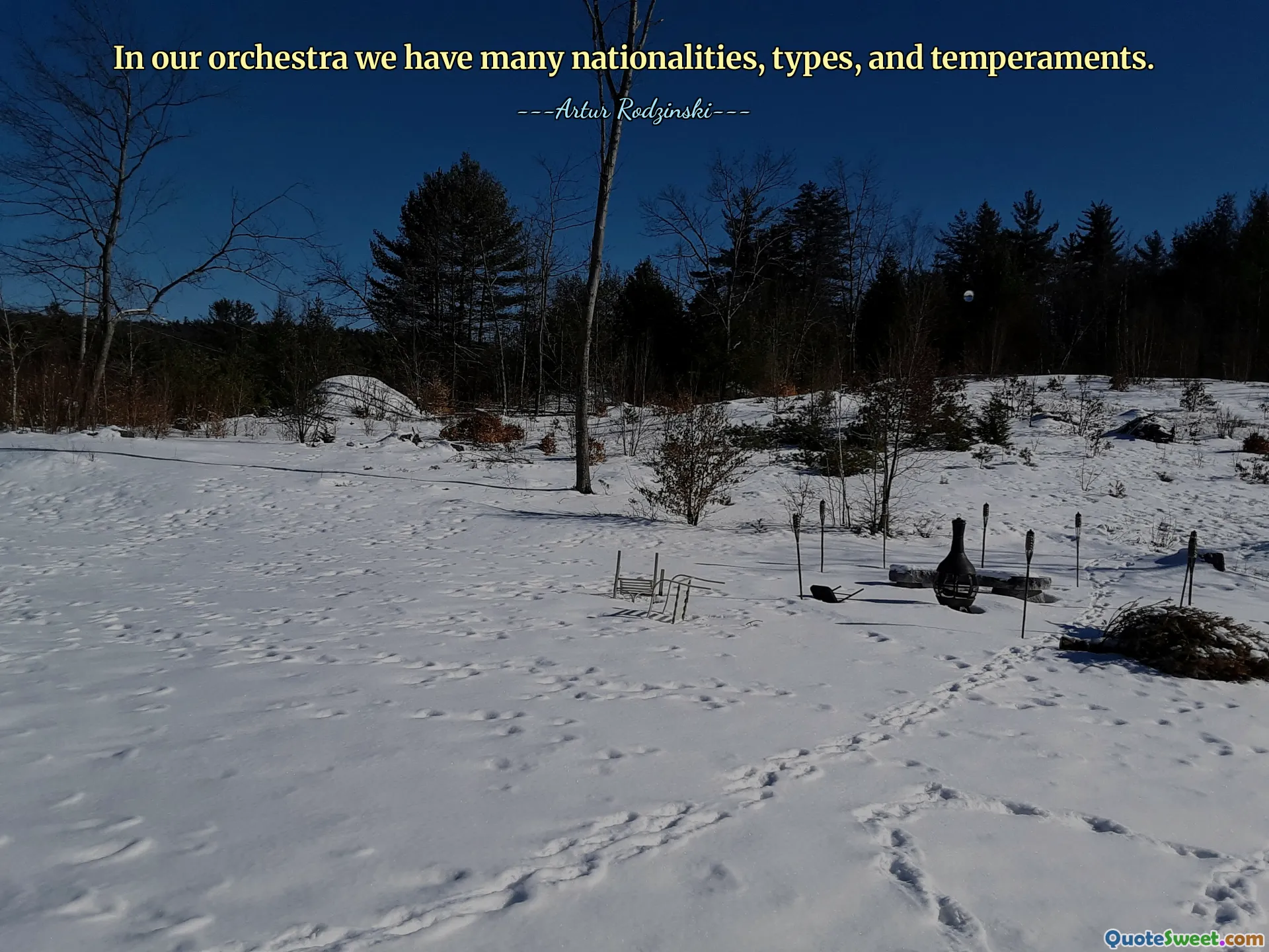 In our orchestra we have many nationalities, types, and temperaments.