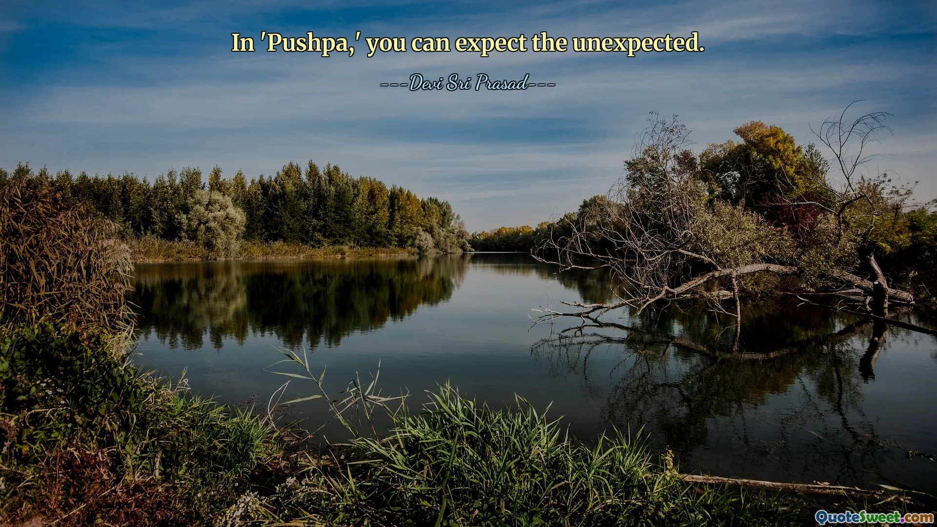 In 'Pushpa,' you can expect the unexpected.