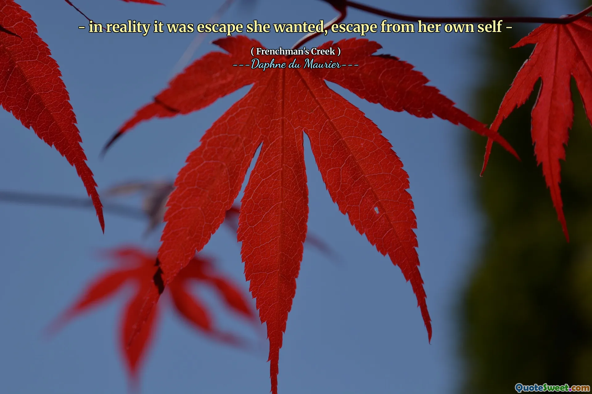 - in reality it was escape she wanted, escape from her own self -