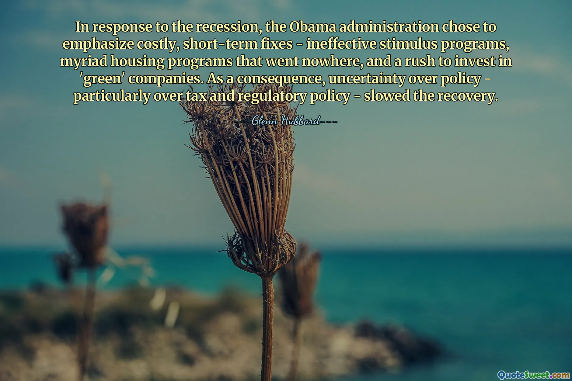 为了应对经济衰退，奥巴马政府选择强调代价高昂的短期解决方案——无效的刺激计划、无数毫无进展的住房计划以及急于投资“绿色”公司。结果，政策的不确定性——特别是税收和监管政策的不确定性——减缓了复苏。