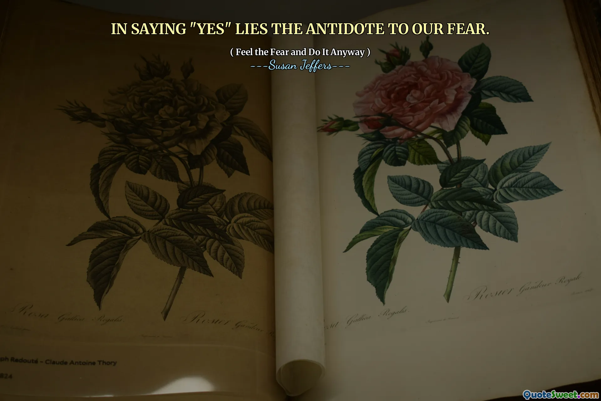 IN SAYING "YES" LIES THE ANTIDOTE TO OUR FEAR.