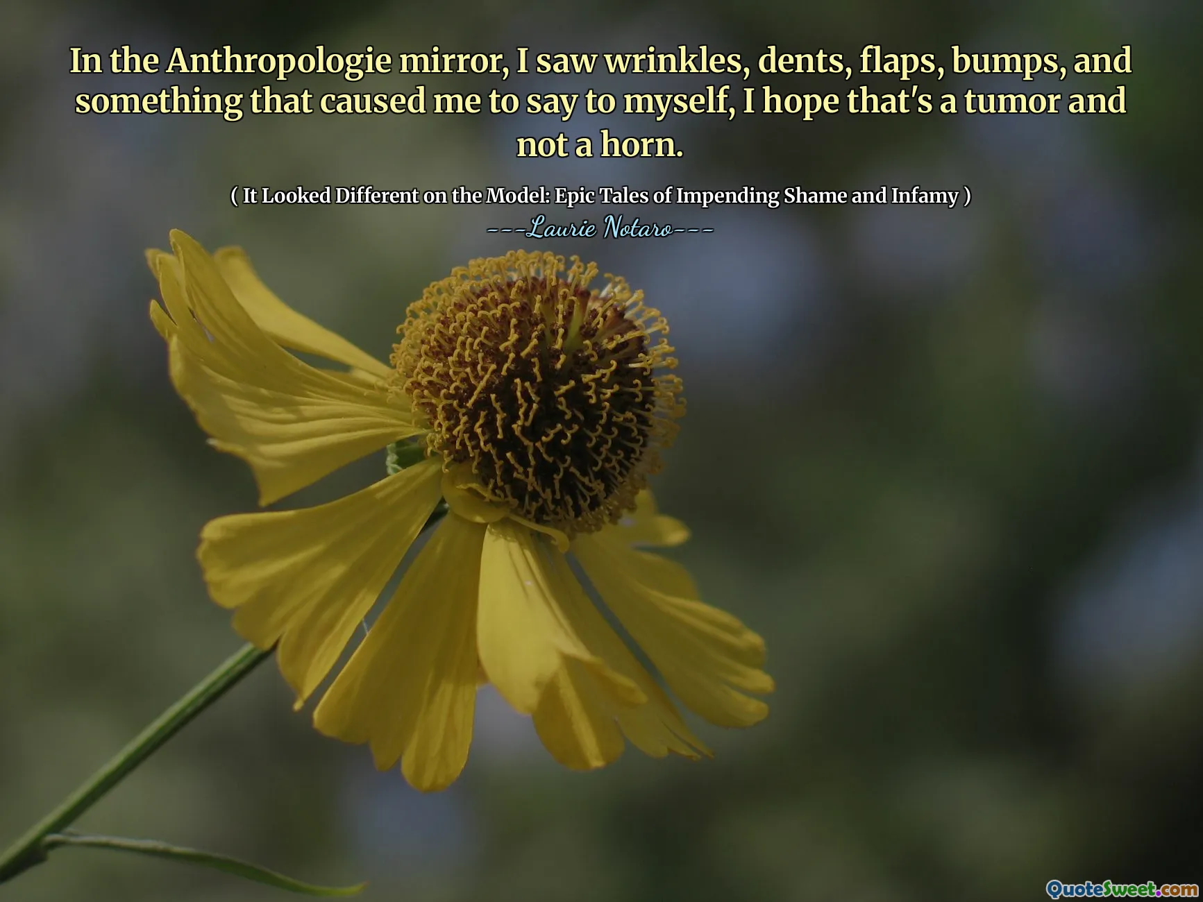 In the Anthropologie mirror, I saw wrinkles, dents, flaps, bumps, and something that caused me to say to myself, I hope that's a tumor and not a horn.