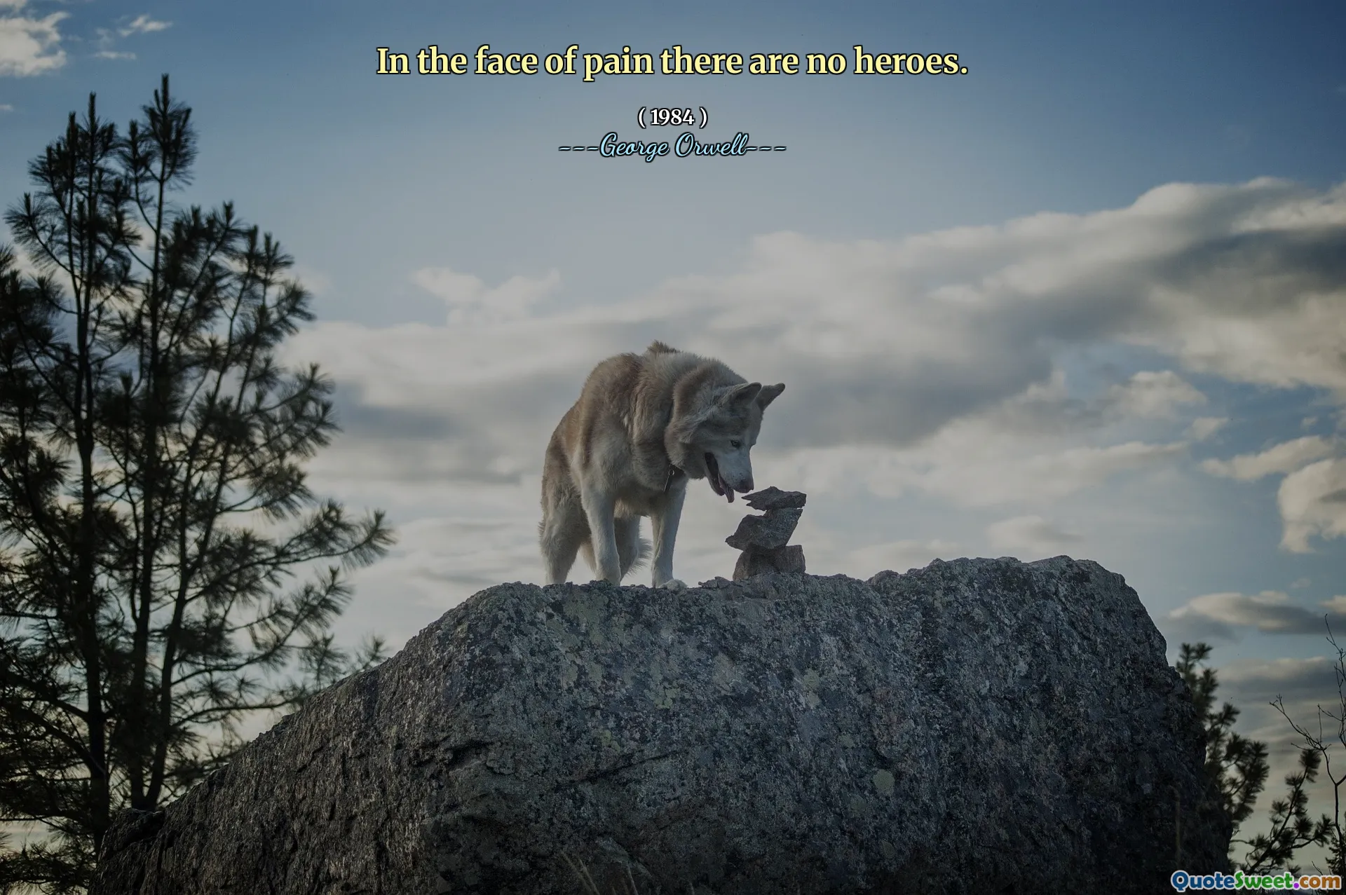 दर्द के सामने कोई नायक नहीं हैं।