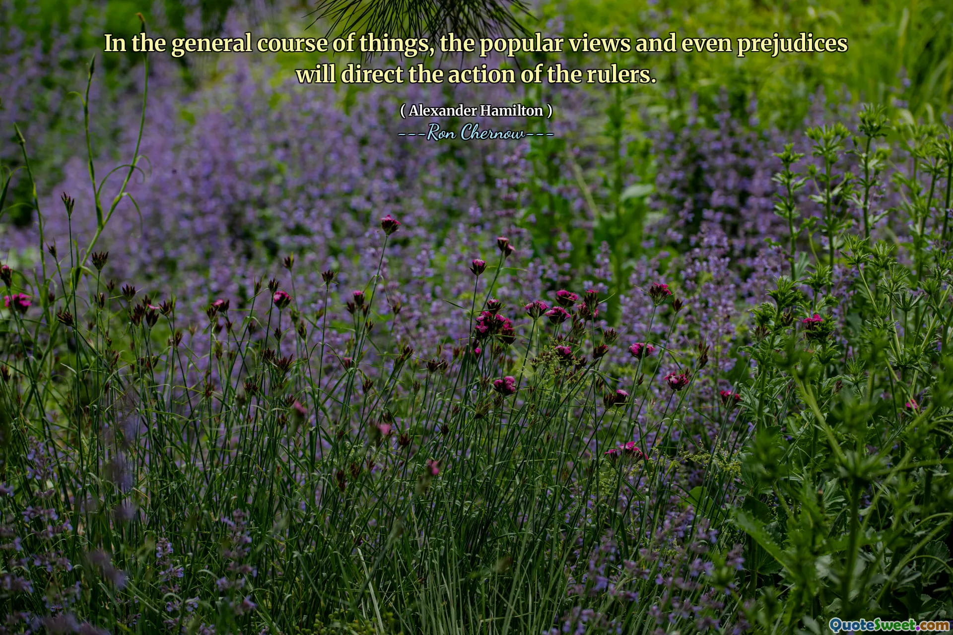 In the general course of things, the popular views and even prejudices will direct the action of the rulers.