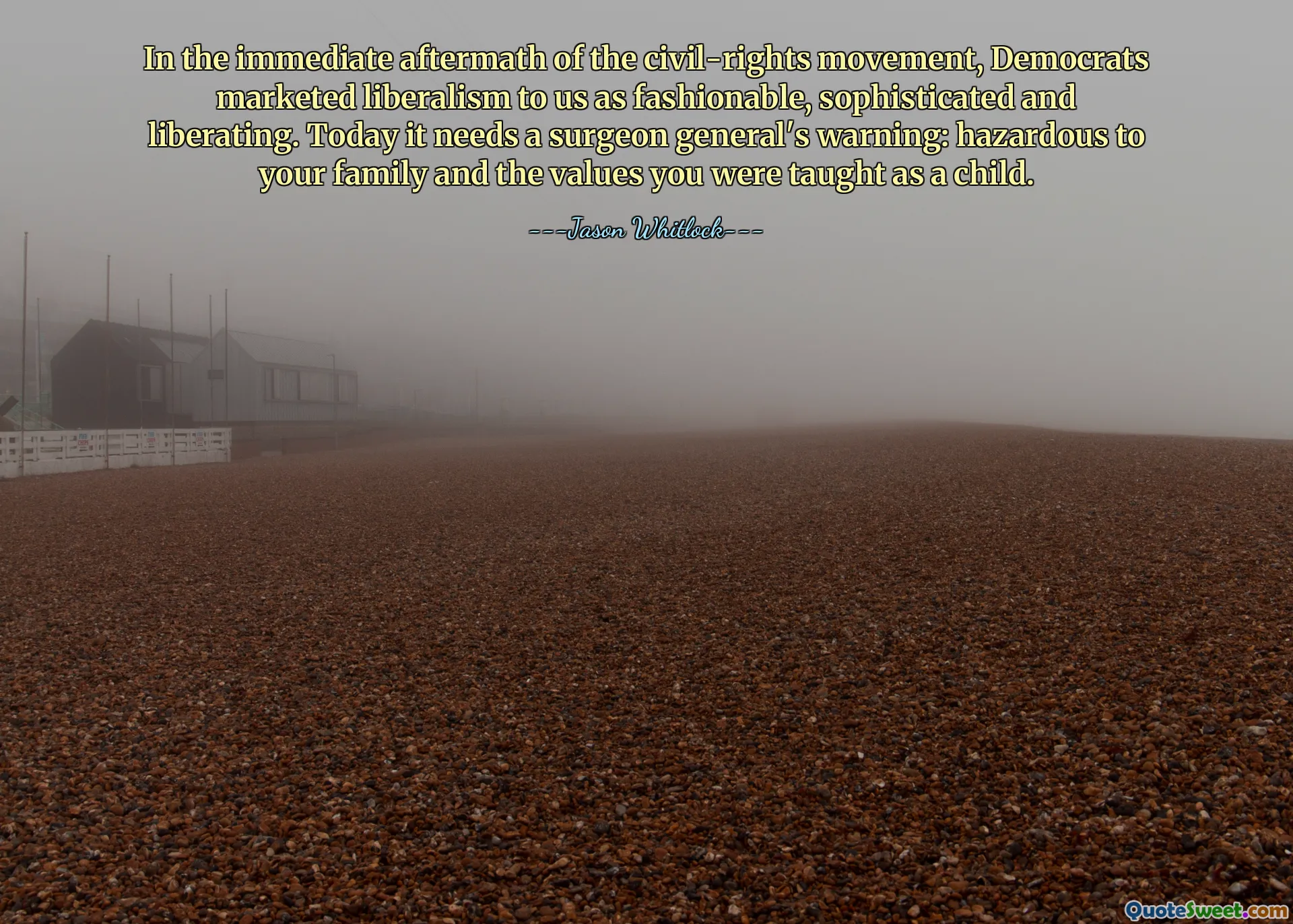 In the immediate aftermath of the civil-rights movement, Democrats marketed liberalism to us as fashionable, sophisticated and liberating. Today it needs a surgeon general's warning: hazardous to your family and the values you were taught as a child.
