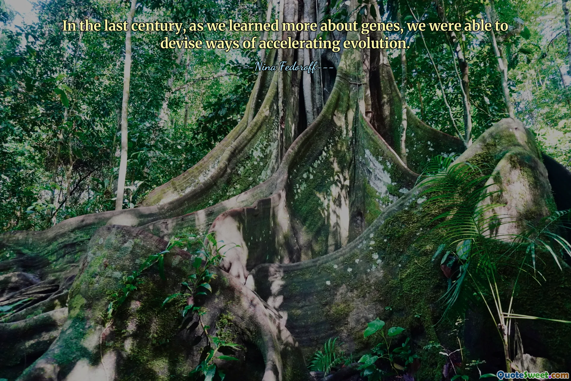 Au siècle dernier, à mesure que nous en apprenions davantage sur les gènes, nous avons pu trouver des moyens d’accélérer l’évolution.