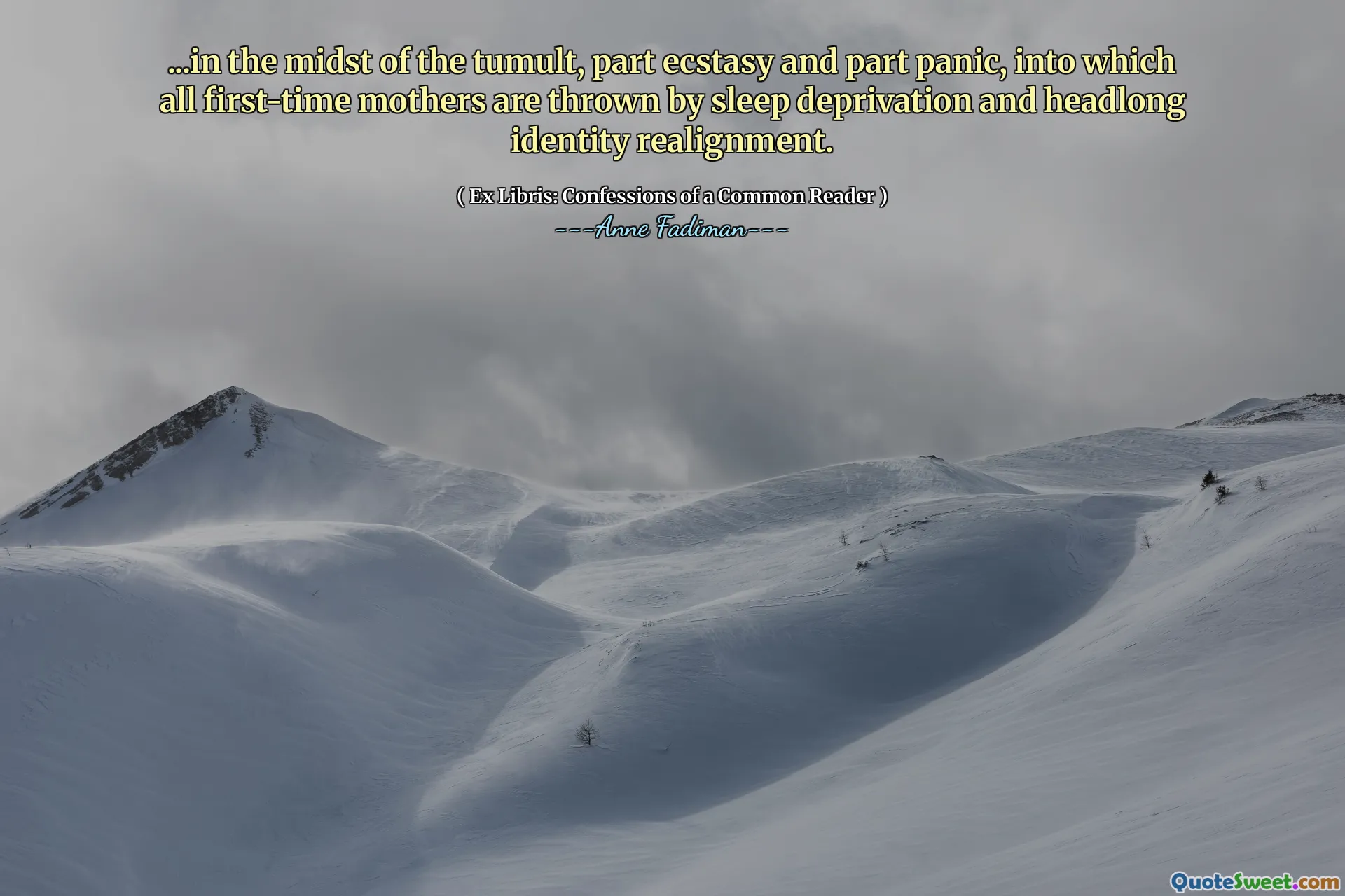 ...in the midst of the tumult, part ecstasy and part panic, into which all first-time mothers are thrown by sleep deprivation and headlong identity realignment.