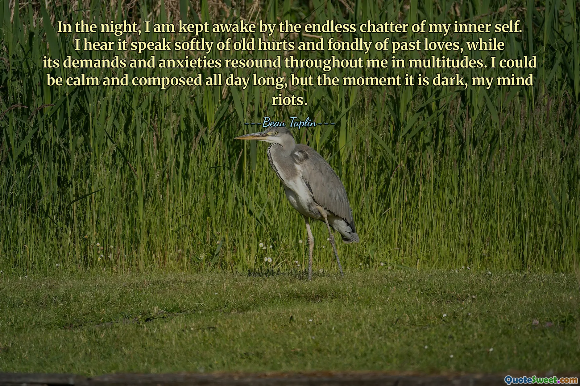 In the night, I am kept awake by the endless chatter of my inner self. I hear it speak softly of old hurts and fondly of past loves, while its demands and anxieties resound throughout me in multitudes. I could be calm and composed all day long, but the moment it is dark, my mind riots.