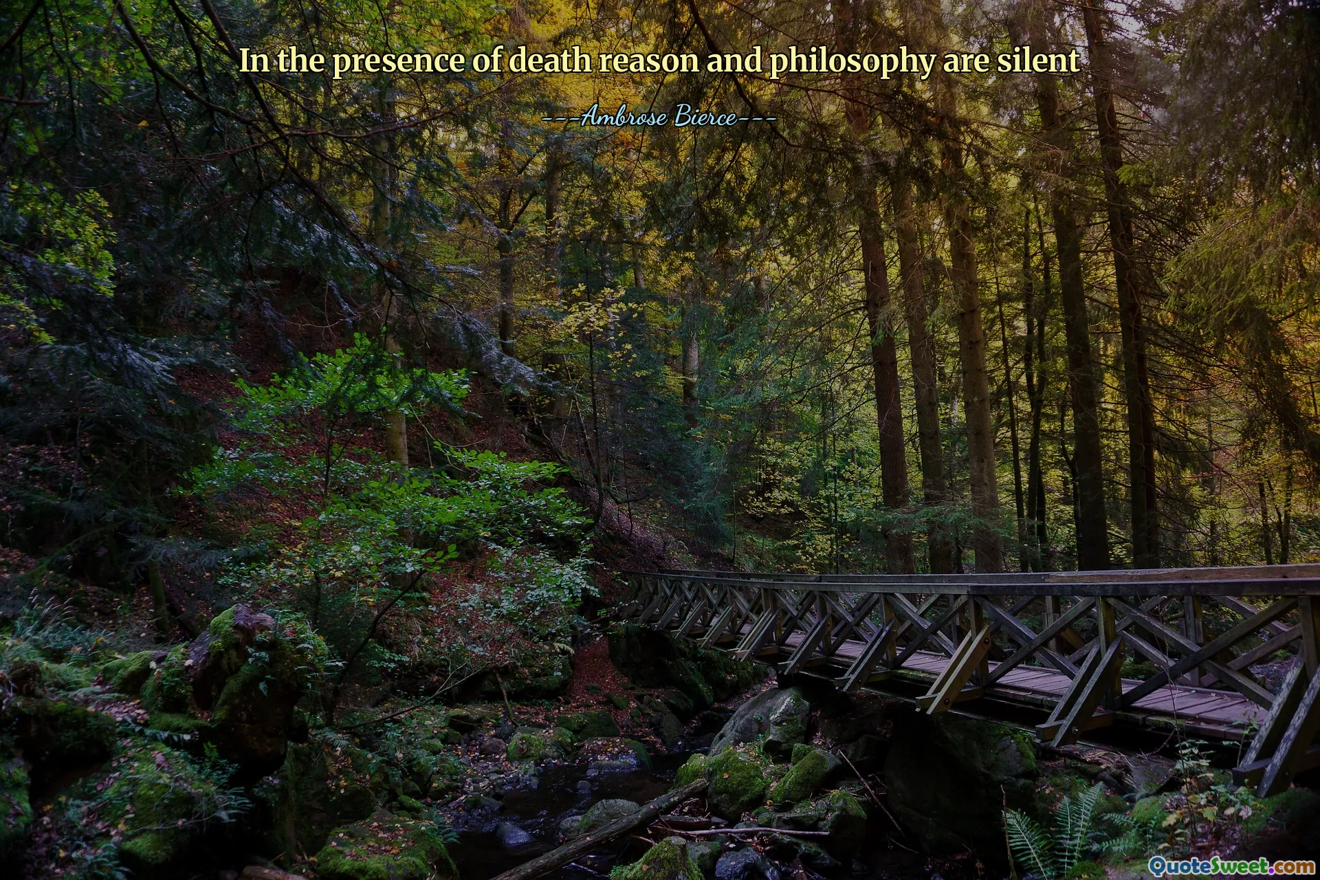 In the presence of death reason and philosophy are silent
