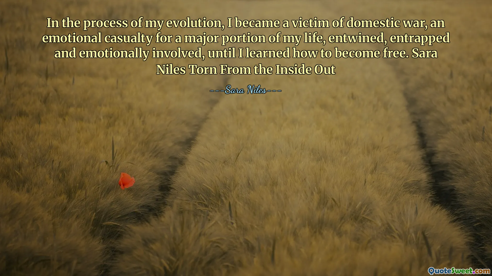 In the process of my evolution, I became a victim of domestic war, an emotional casualty for a major portion of my life, entwined, entrapped and emotionally involved, until I learned how to become free. Sara Niles Torn From the Inside Out