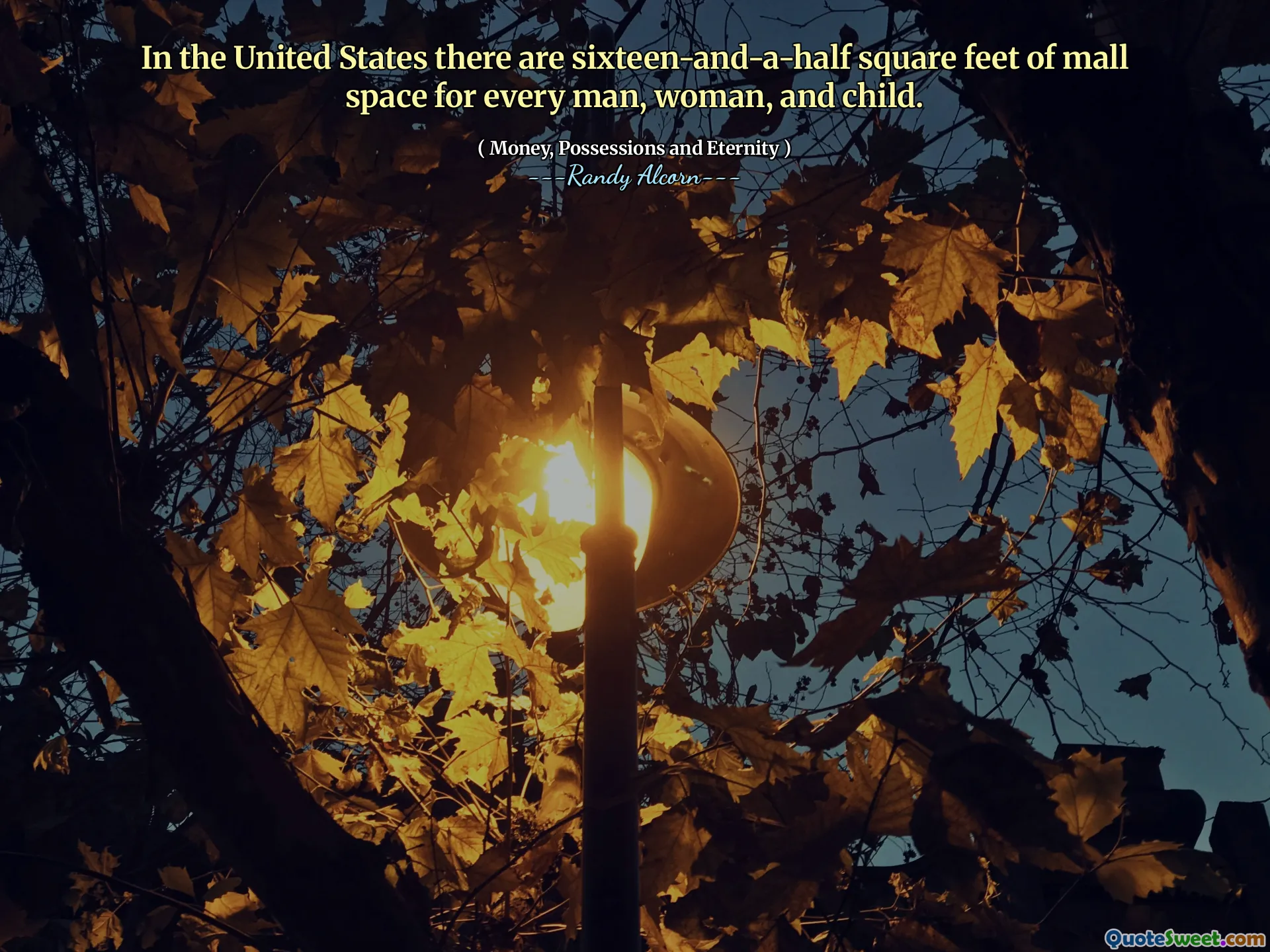 In the United States there are sixteen-and-a-half square feet of mall space for every man, woman, and child.