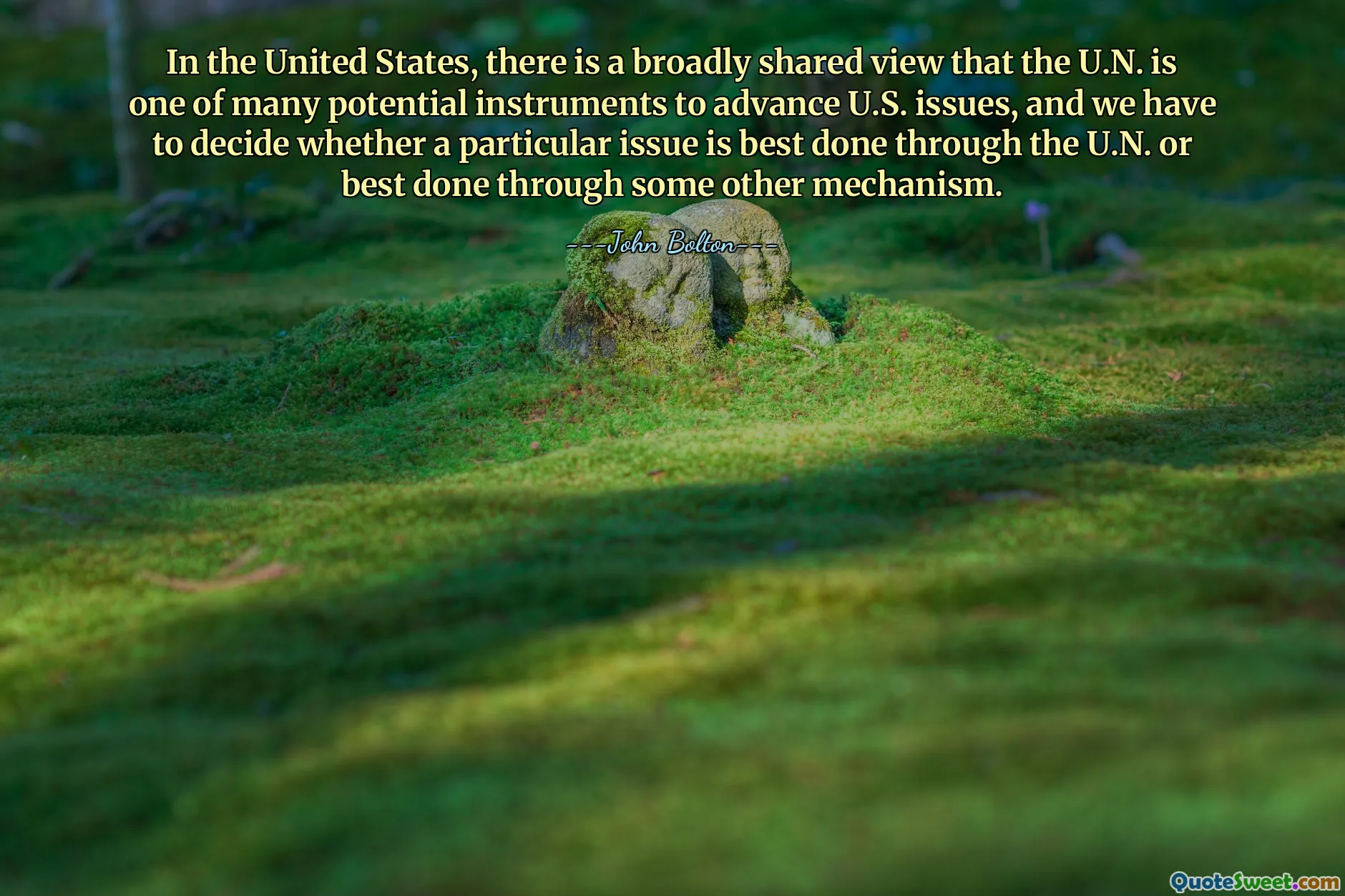 In the United States, there is a broadly shared view that the U.N. is one of many potential instruments to advance U.S. issues, and we have to decide whether a particular issue is best done through the U.N. or best done through some other mechanism.