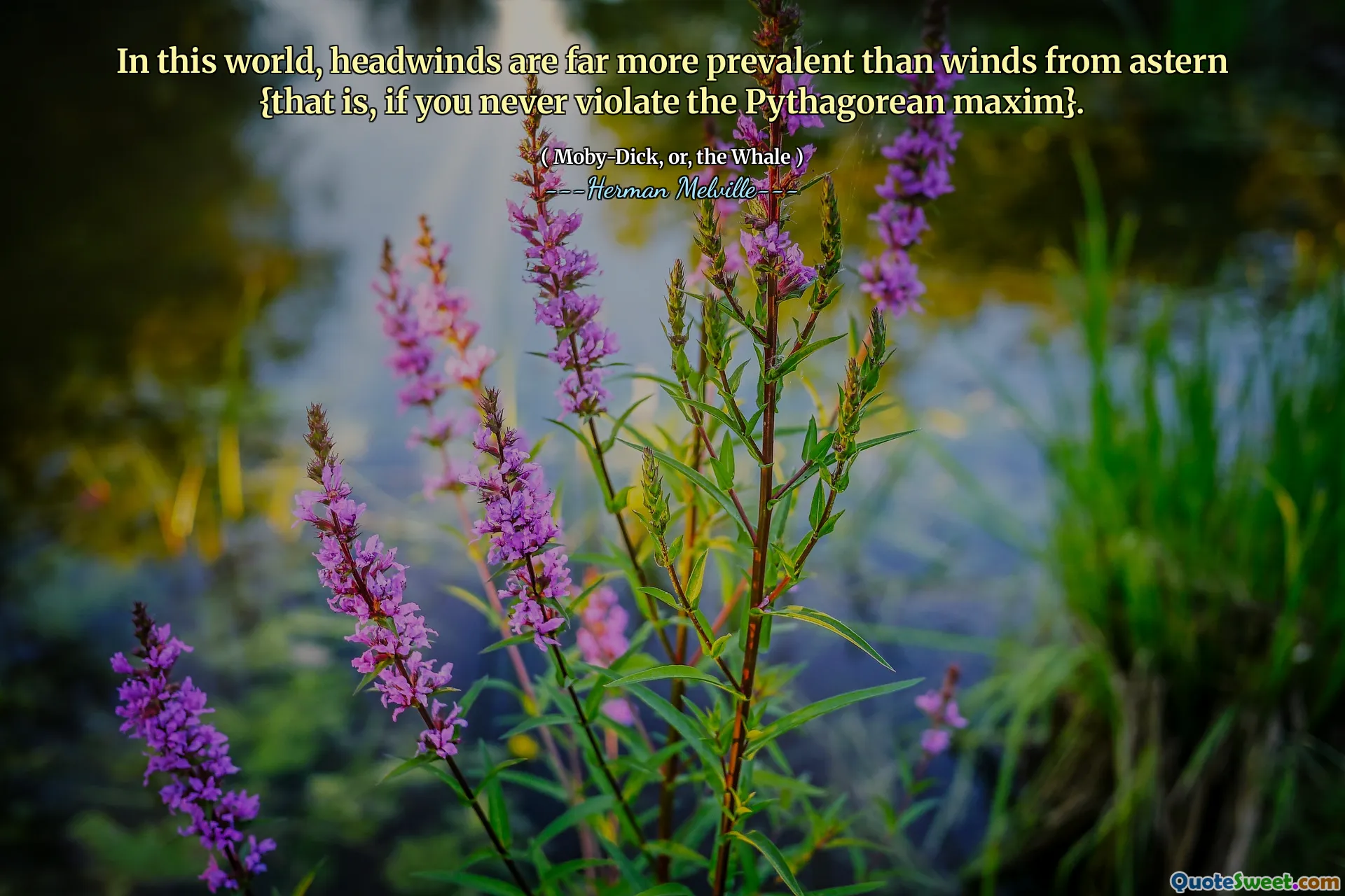 I den här världen är motvind mycket vanligare än vindar från akter {det vill säga om du aldrig bryter mot Pythagorean Maxim}.