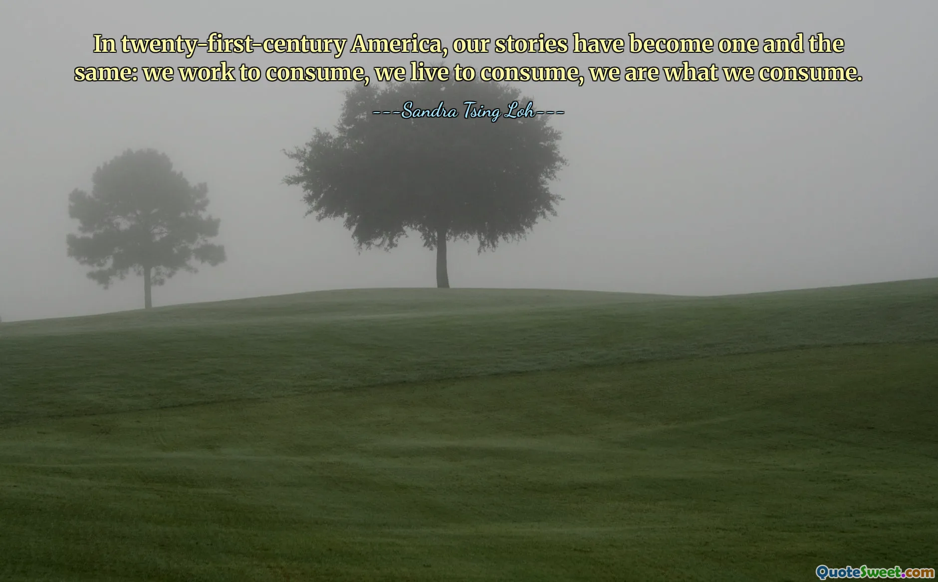 In twenty-first-century America, our stories have become one and the same: we work to consume, we live to consume, we are what we consume.