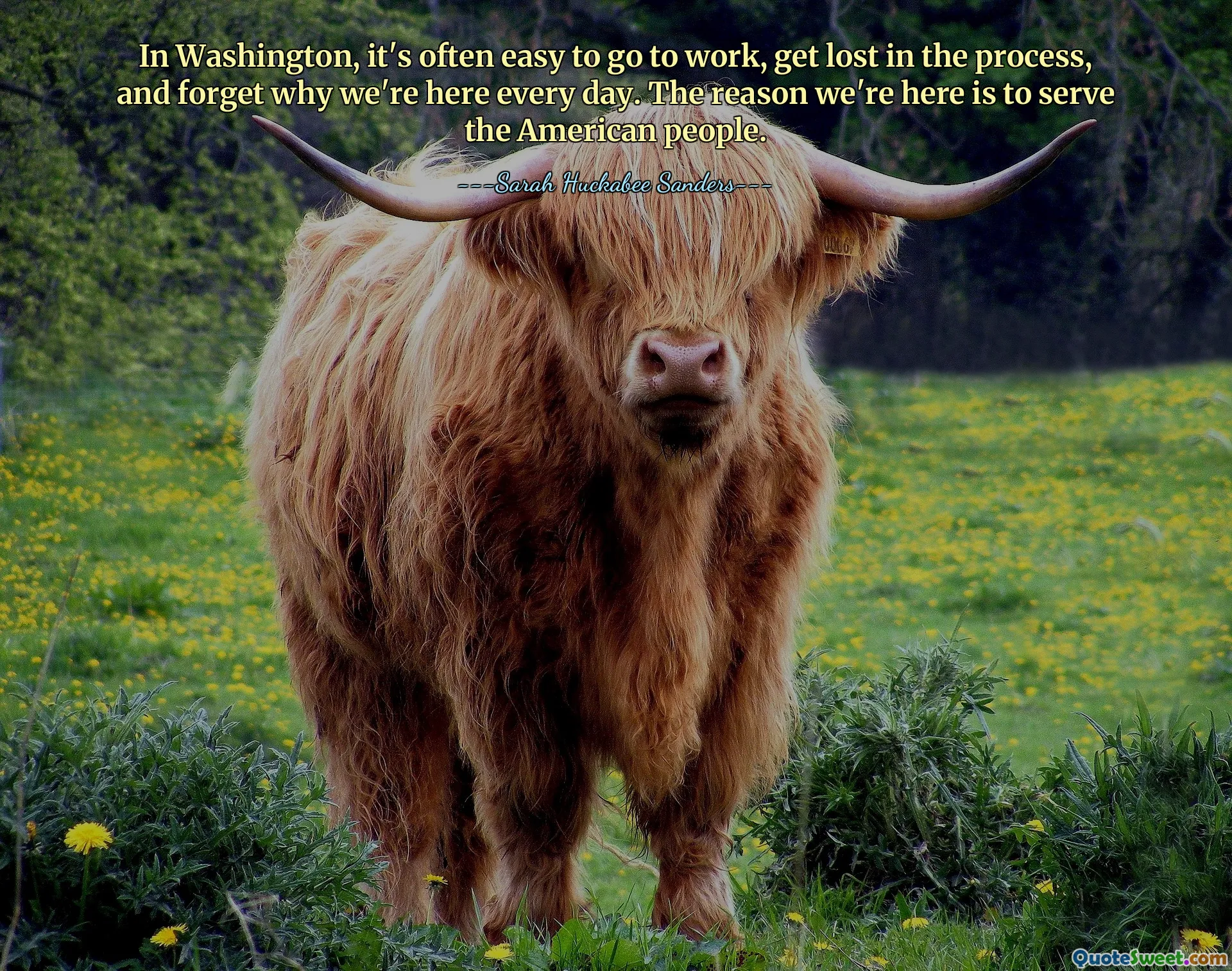 In Washington, it's often easy to go to work, get lost in the process, and forget why we're here every day. The reason we're here is to serve the American people.