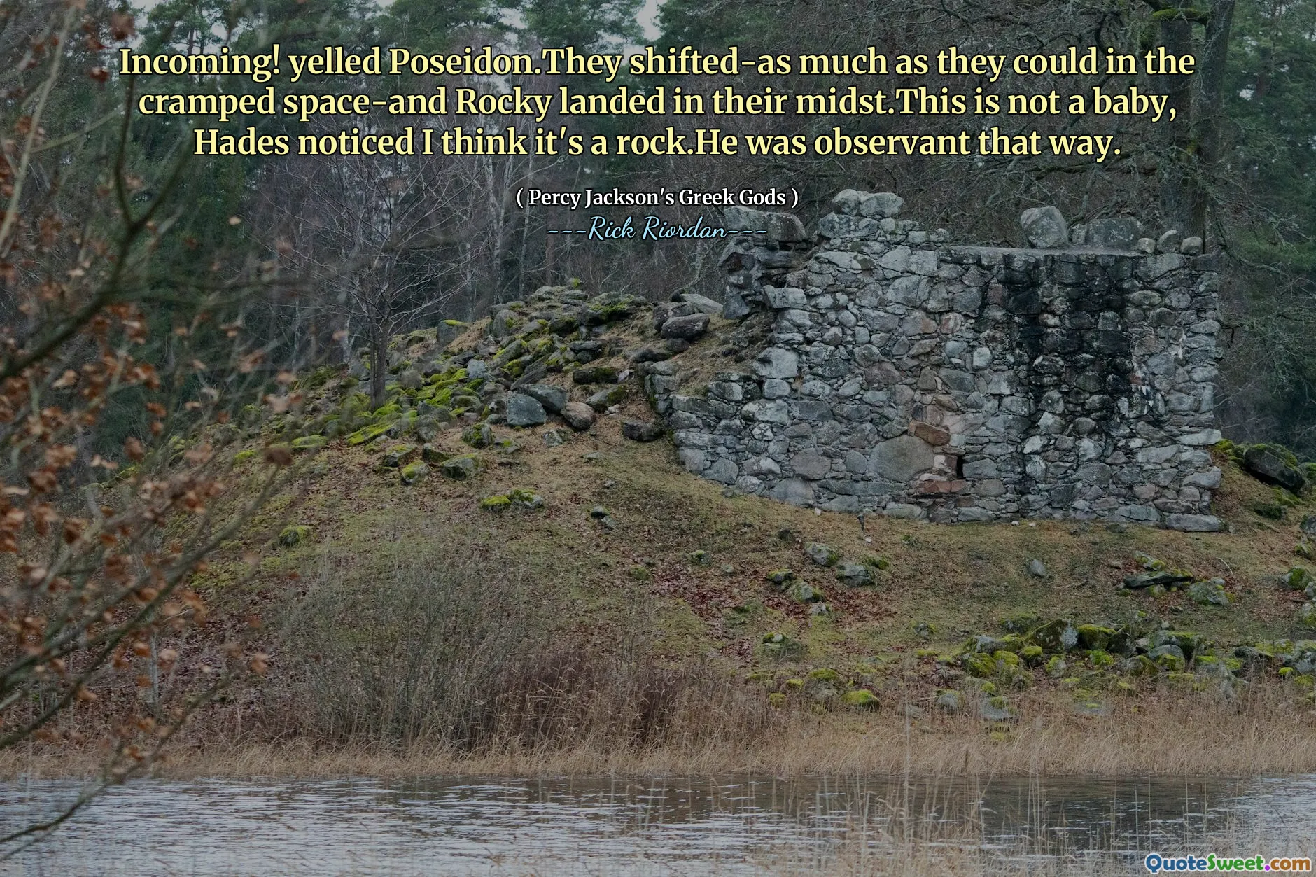 Incoming! yelled Poseidon.They shifted-as much as they could in the cramped space-and Rocky landed in their midst.This is not a baby, Hades noticed I think it's a rock.He was observant that way.
