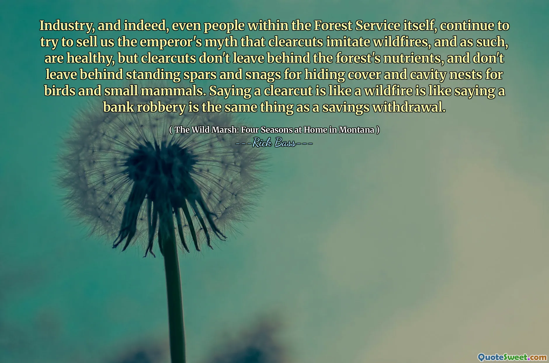 Industry, and indeed, even people within the Forest Service itself, continue to try to sell us the emperor's myth that clearcuts imitate wildfires, and as such, are healthy, but clearcuts don't leave behind the forest's nutrients, and don't leave behind standing spars and snags for hiding cover and cavity nests for birds and small mammals. Saying a clearcut is like a wildfire is like saying a bank robbery is the same thing as a savings withdrawal.