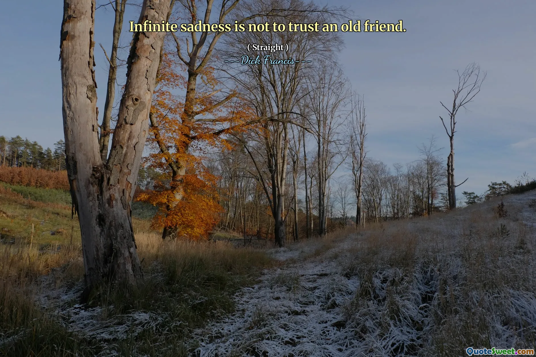 Infinite sadness is not to trust an old friend.