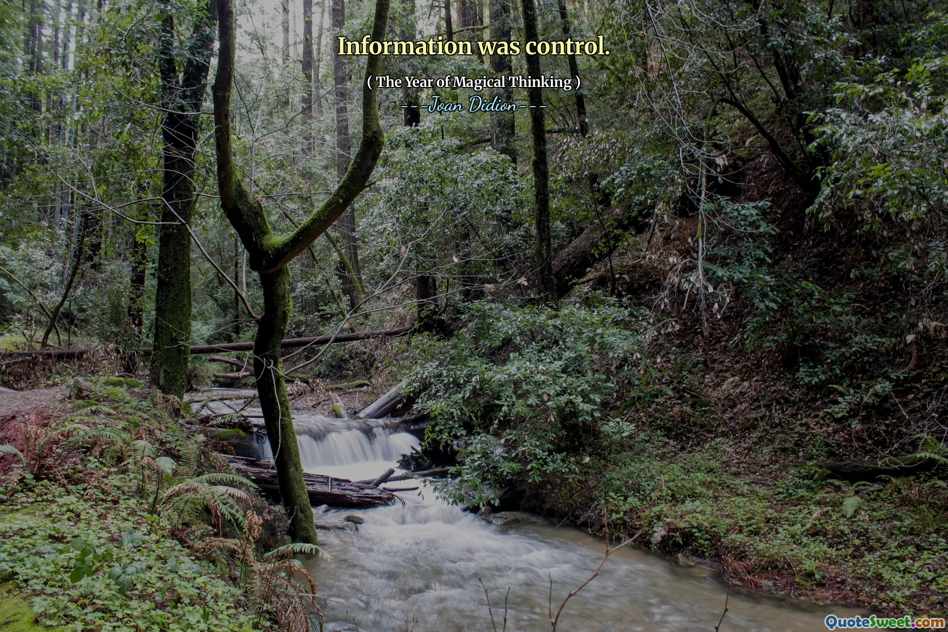 Informatie was controle.