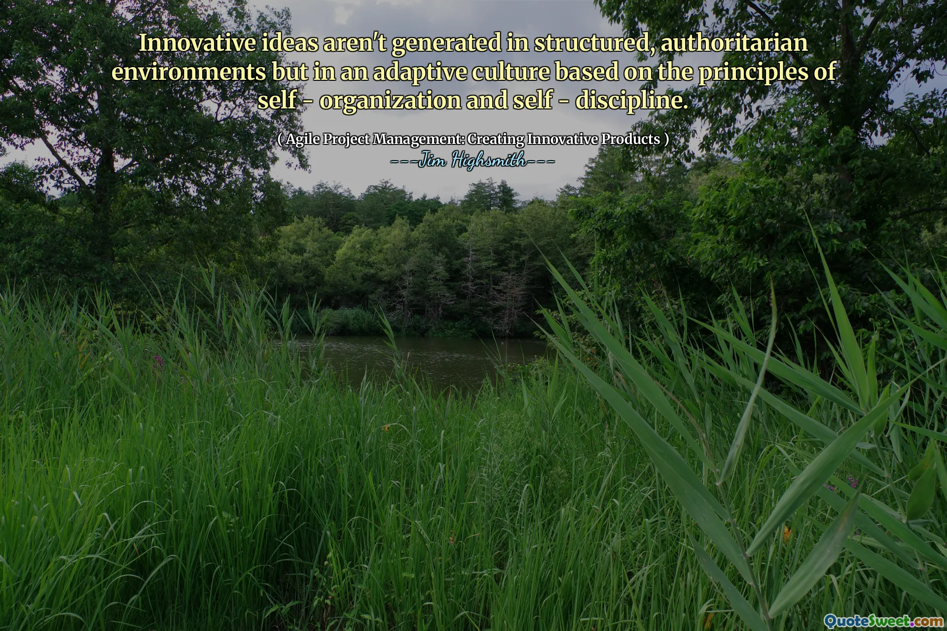 Innovative ideas aren't generated in structured, authoritarian environments but in an adaptive culture based on the principles of self - organization and self - discipline.