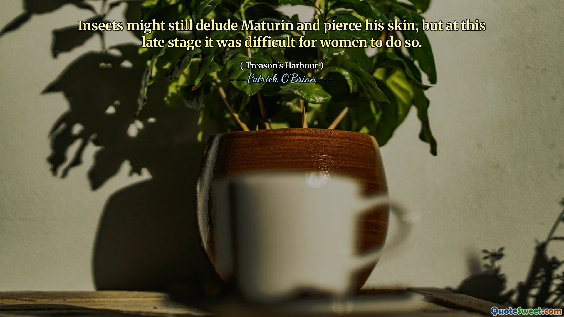 Insects might still delude Maturin and pierce his skin, but at this late stage it was difficult for women to do so.