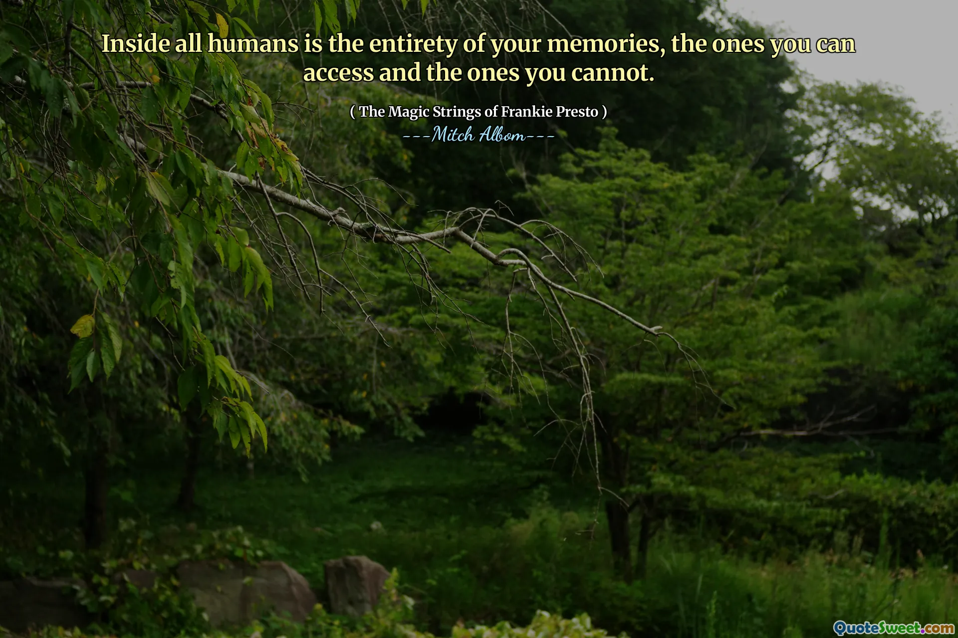 Inside all humans is the entirety of your memories, the ones you can access and the ones you cannot.