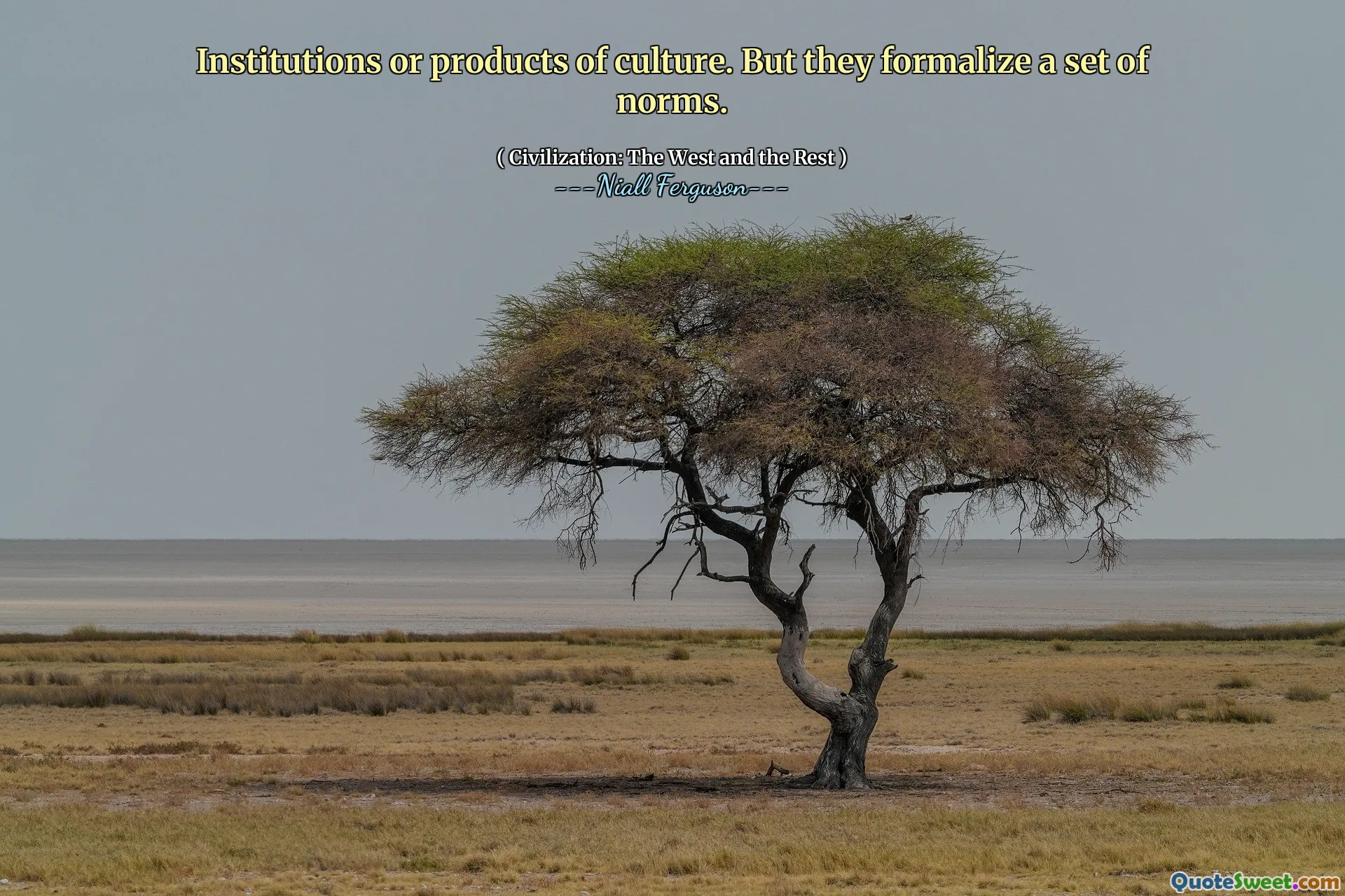 Institutions or products of culture. But they formalize a set of norms.