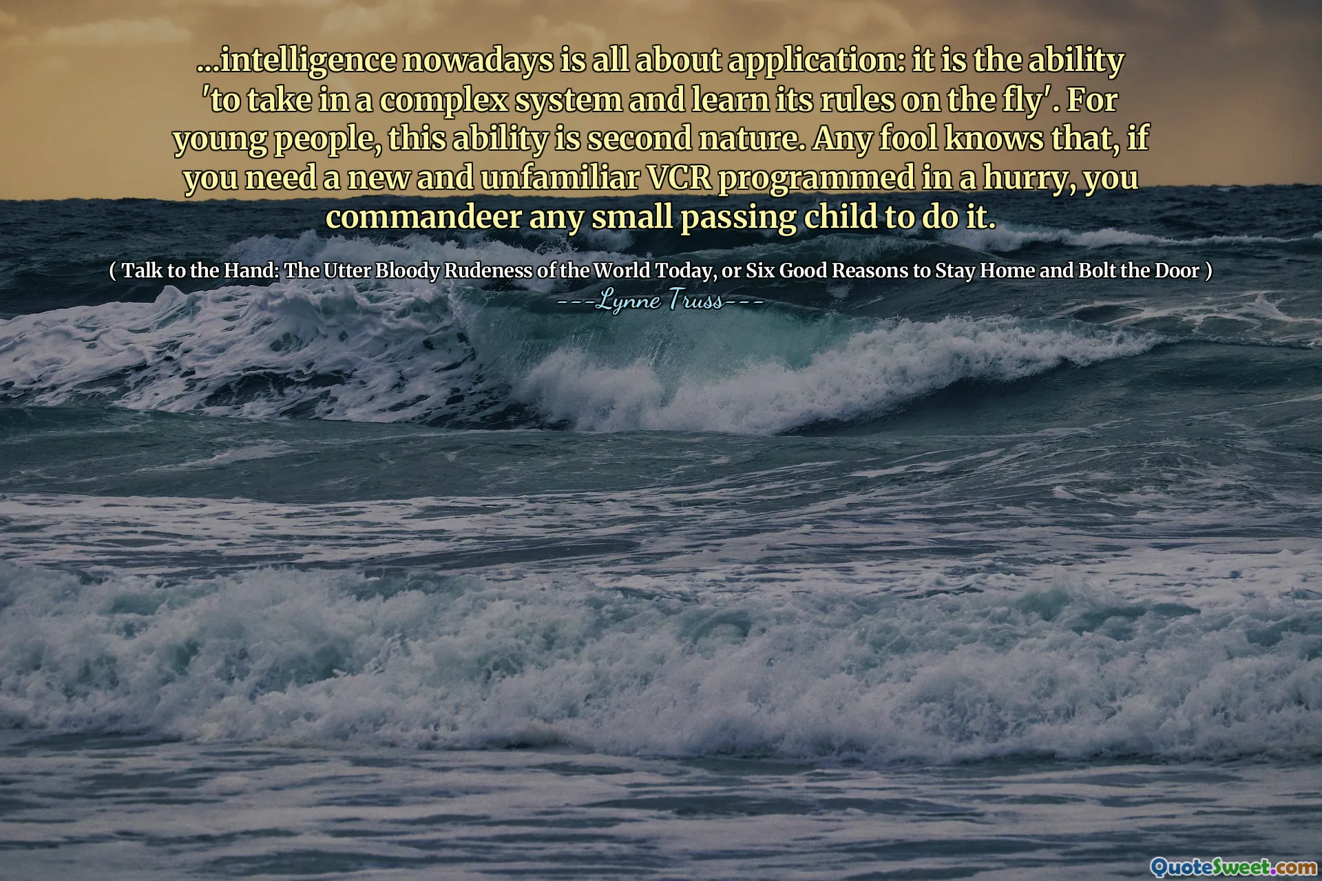 ...intelligence nowadays is all about application: it is the ability 'to take in a complex system and learn its rules on the fly'. For young people, this ability is second nature. Any fool knows that, if you need a new and unfamiliar VCR programmed in a hurry, you commandeer any small passing child to do it.