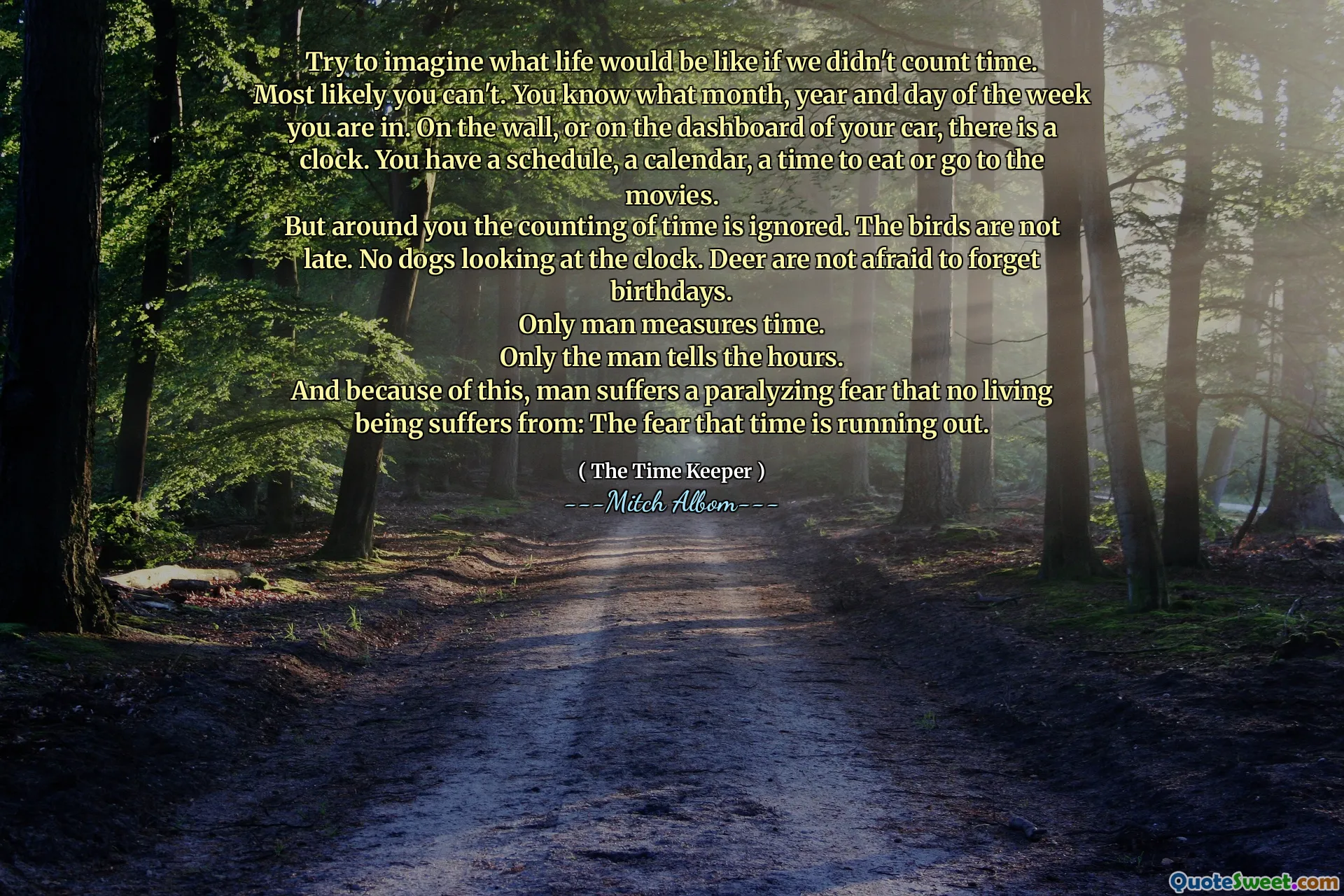 Cobalah membayangkan seperti apa hidup jika kita tidak menghitung waktu.
Kemungkinan besar Anda tidak bisa. Anda tahu bulan, tahun, dan hari dalam seminggu di dinding, atau di dasbor mobil Anda, ada jam. Anda memiliki jadwal, kalender, waktu untuk makan atau pergi ke bioskop.
Tetapi di sekitar Anda penghitungan waktu diabaikan. Burung -burung itu tidak terlambat. Tidak ada anjing yang melihat jam. Rusa tidak takut melupakan ulang tahun.
Hanya pria yang mengukur waktu.
Hanya pria yang menceritakan jam.
Dan karena ini, manusia menderita ketakutan yang melumpuhkan bahwa tidak ada makhluk hidup yang menderita: ketakutan waktu itu habis.