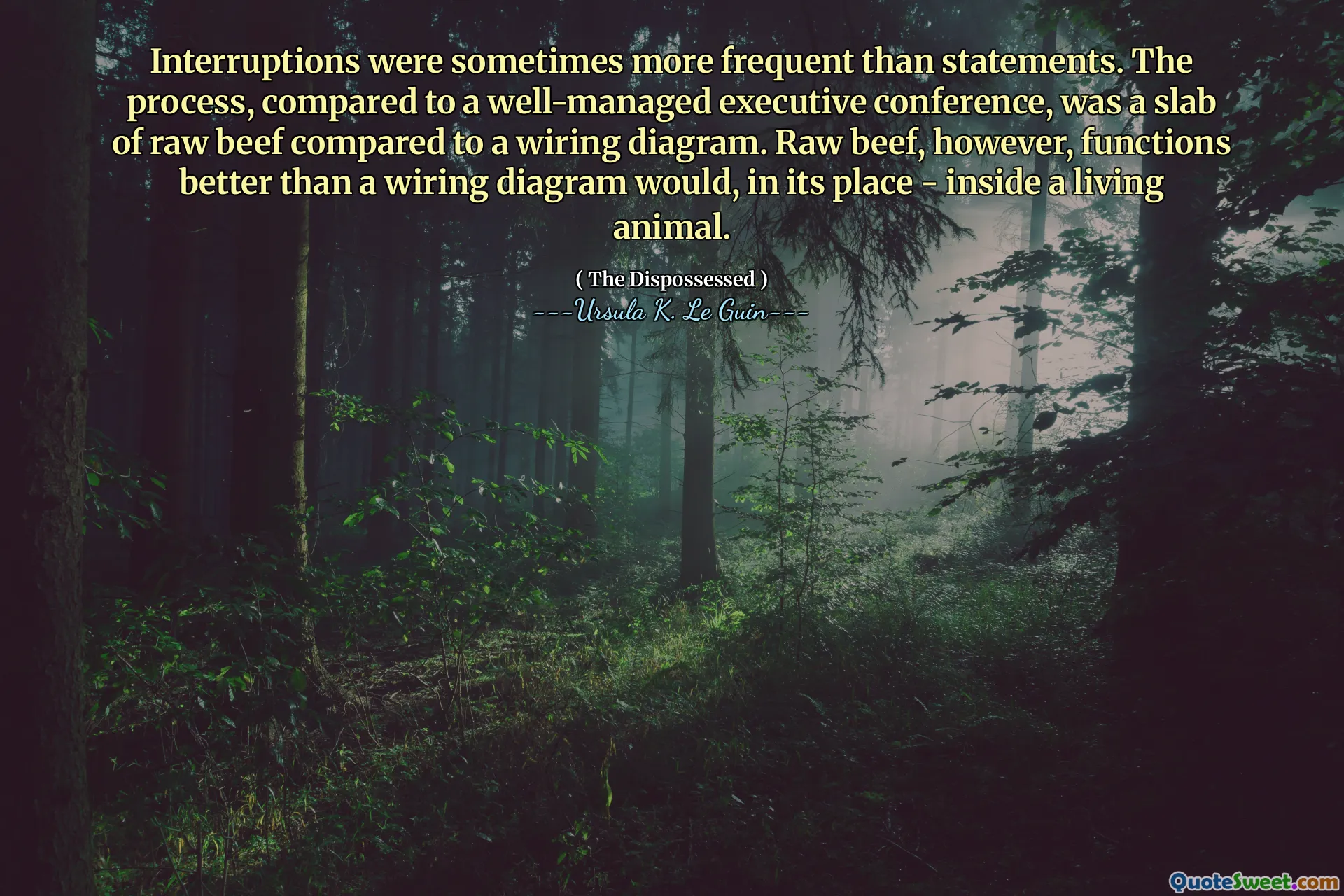 Interruptions were sometimes more frequent than statements. The process, compared to a well-managed executive conference, was a slab of raw beef compared to a wiring diagram. Raw beef, however, functions better than a wiring diagram would, in its place - inside a living animal.