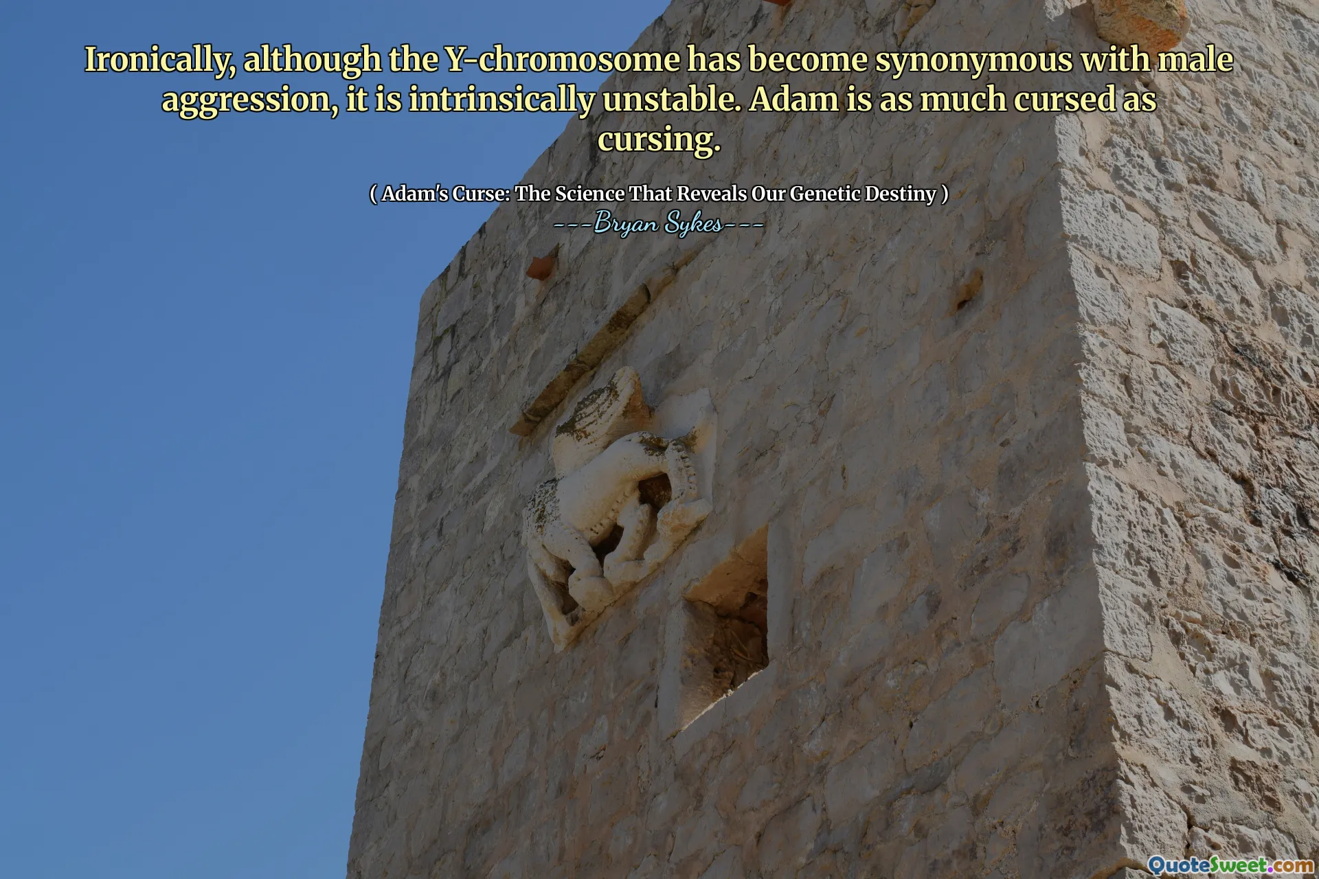 Ironia della sorte, sebbene il cromosoma Y sia diventato sinonimo di aggressione maschile, è intrinsecamente instabile. Adam è tanto maledetto quanto maledizioni.