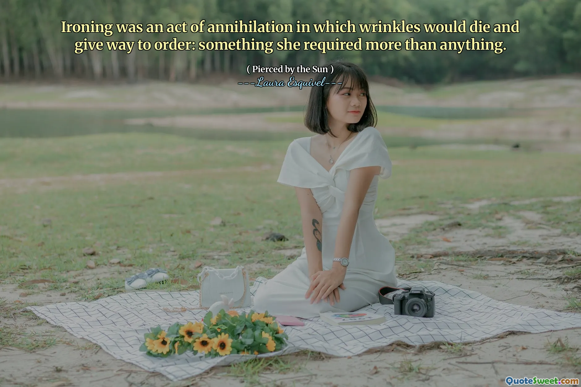 Strykning var en förintelsehandling där rynkor skulle dö och ge plats för beställning: något hon krävde mer än någonting.