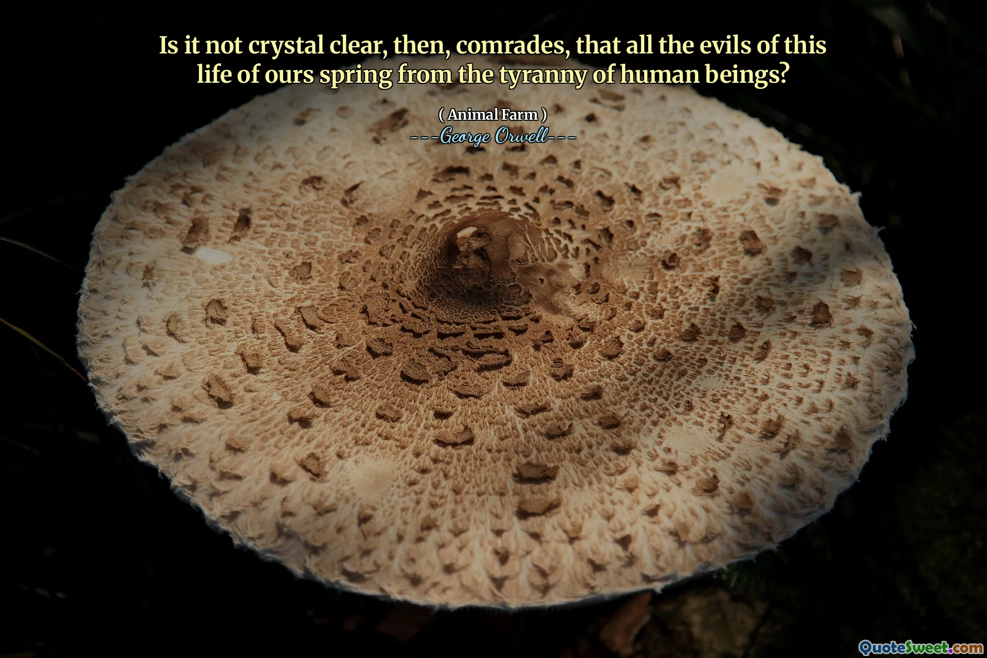 Is it not crystal clear, then, comrades, that all the evils of this life of ours spring from the tyranny of human beings?