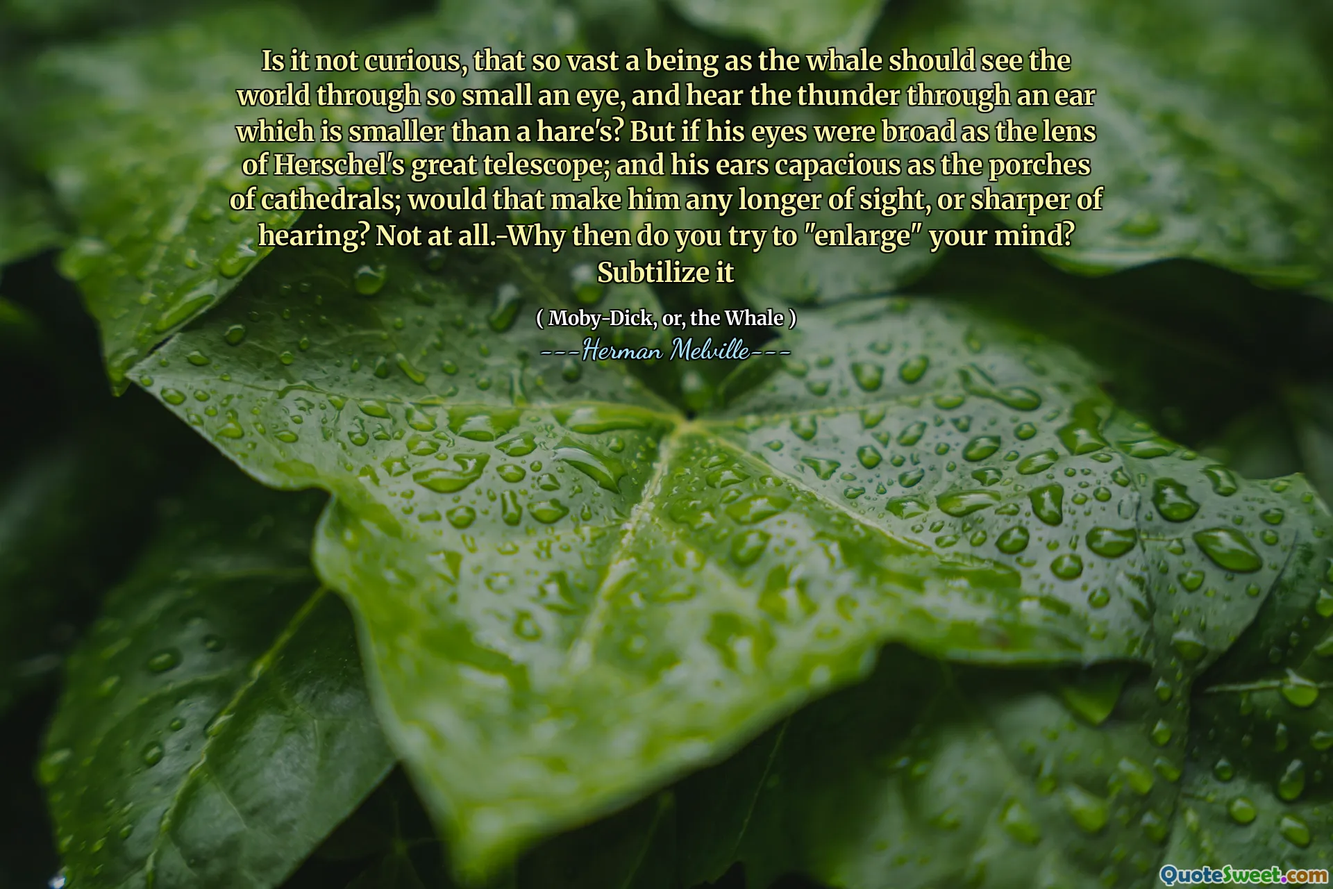Có phải nó không tò mò, đến nỗi một sinh vật rộng lớn như con cá voi sẽ nhìn thế giới qua một con mắt nhỏ bé và nghe thấy tiếng sấm sét qua một tai nhỏ hơn một con thỏ? Nhưng nếu đôi mắt của anh ta rộng như lăng kính của Kính thiên văn vĩ đại của Herschel; và đôi tai của anh ta mạnh mẽ như những hiên nhà của thánh đường; Điều đó sẽ làm cho anh ta thấy bất kỳ tầm nhìn nào nữa, hoặc thính giác sắc nét hơn? Hoàn toàn không. Tại sao bạn cố gắng "phóng to" tâm trí của bạn? Subtative nó