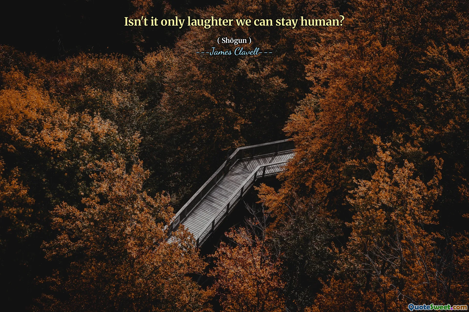 Isn't it only laughter we can stay human?