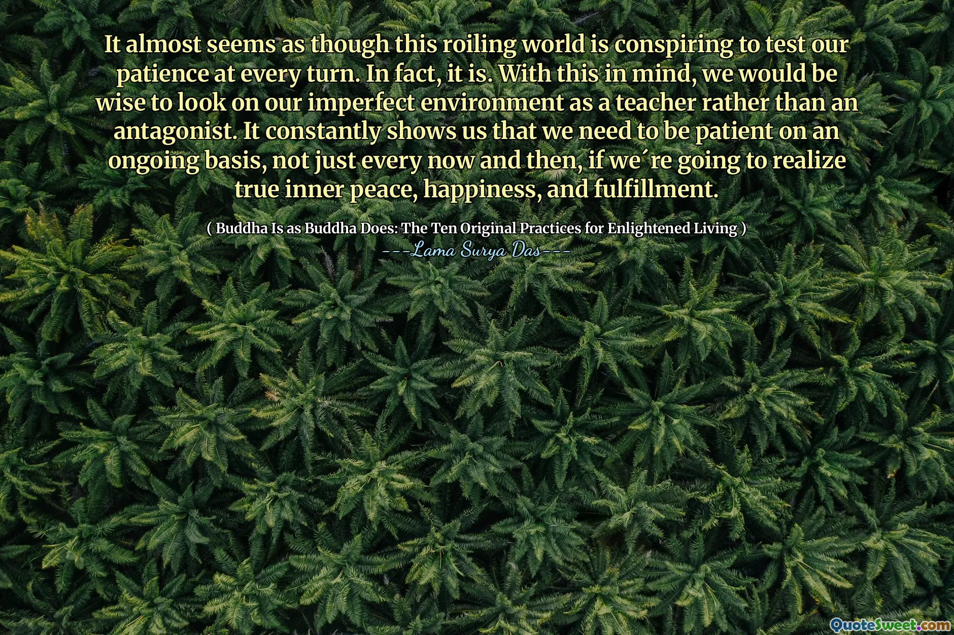 Aproape că se pare că această lume care se învârte conspiră pentru a ne testa răbdarea la fiecare rând. De fapt, este. Având în vedere acest lucru, am fi înțelepți să privim mediul nostru imperfect, mai degrabă decât un profesor decât un antagonist. Ne arată constant că trebuie să avem răbdare în mod continuu, nu doar din când în când, dacă vom realiza adevărata pace interioară, fericire și împlinire.