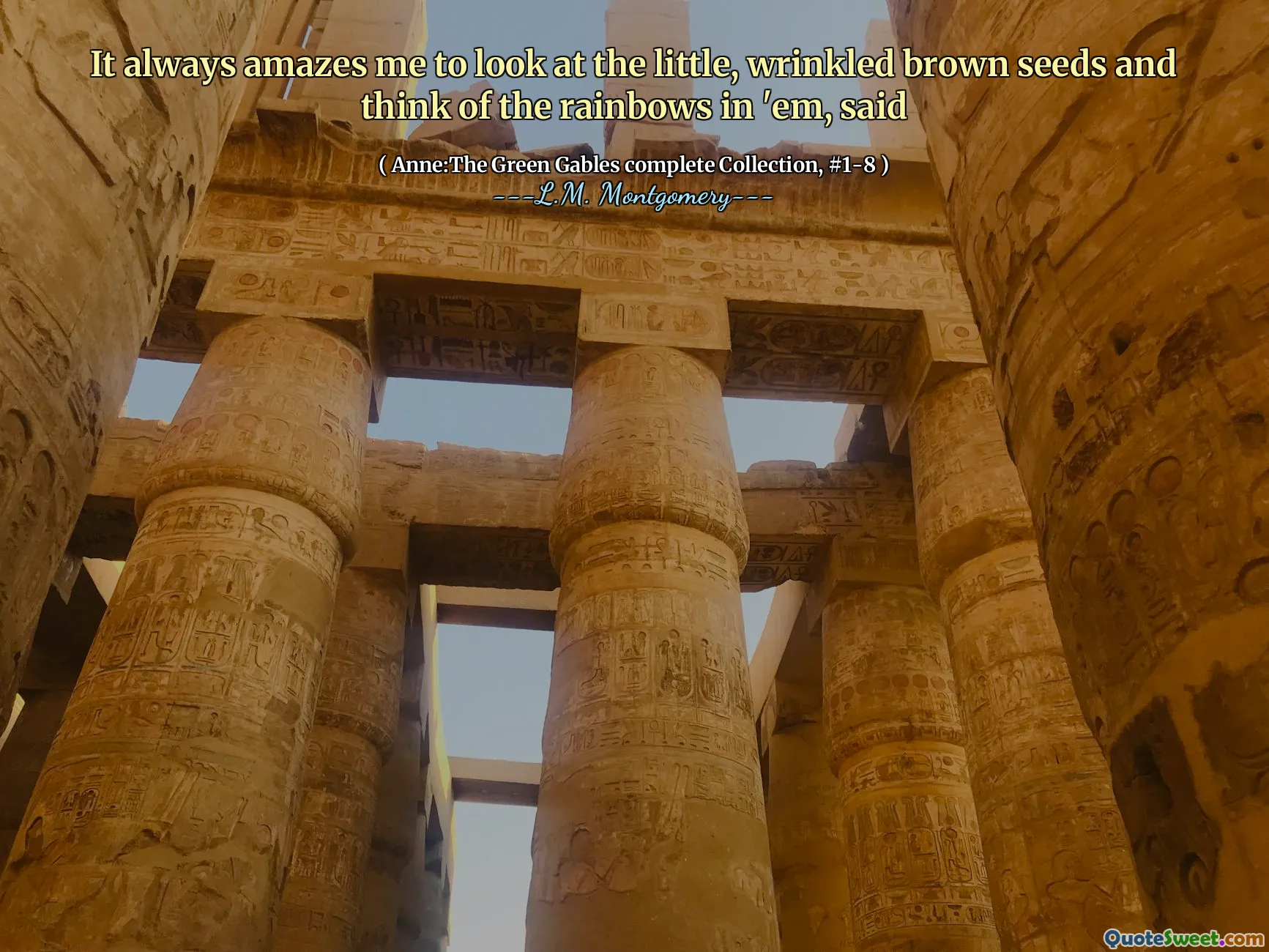 It always amazes me to look at the little, wrinkled brown seeds and think of the rainbows in 'em, said