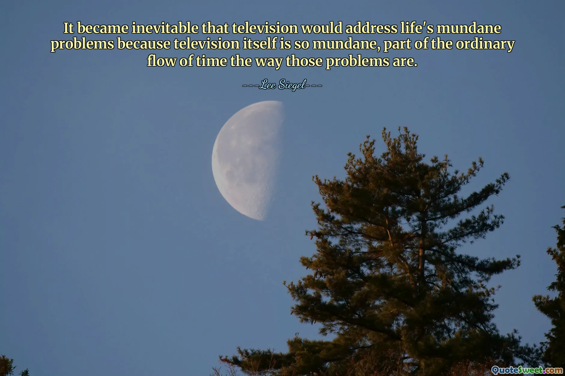 It became inevitable that television would address life's mundane problems because television itself is so mundane, part of the ordinary flow of time the way those problems are.