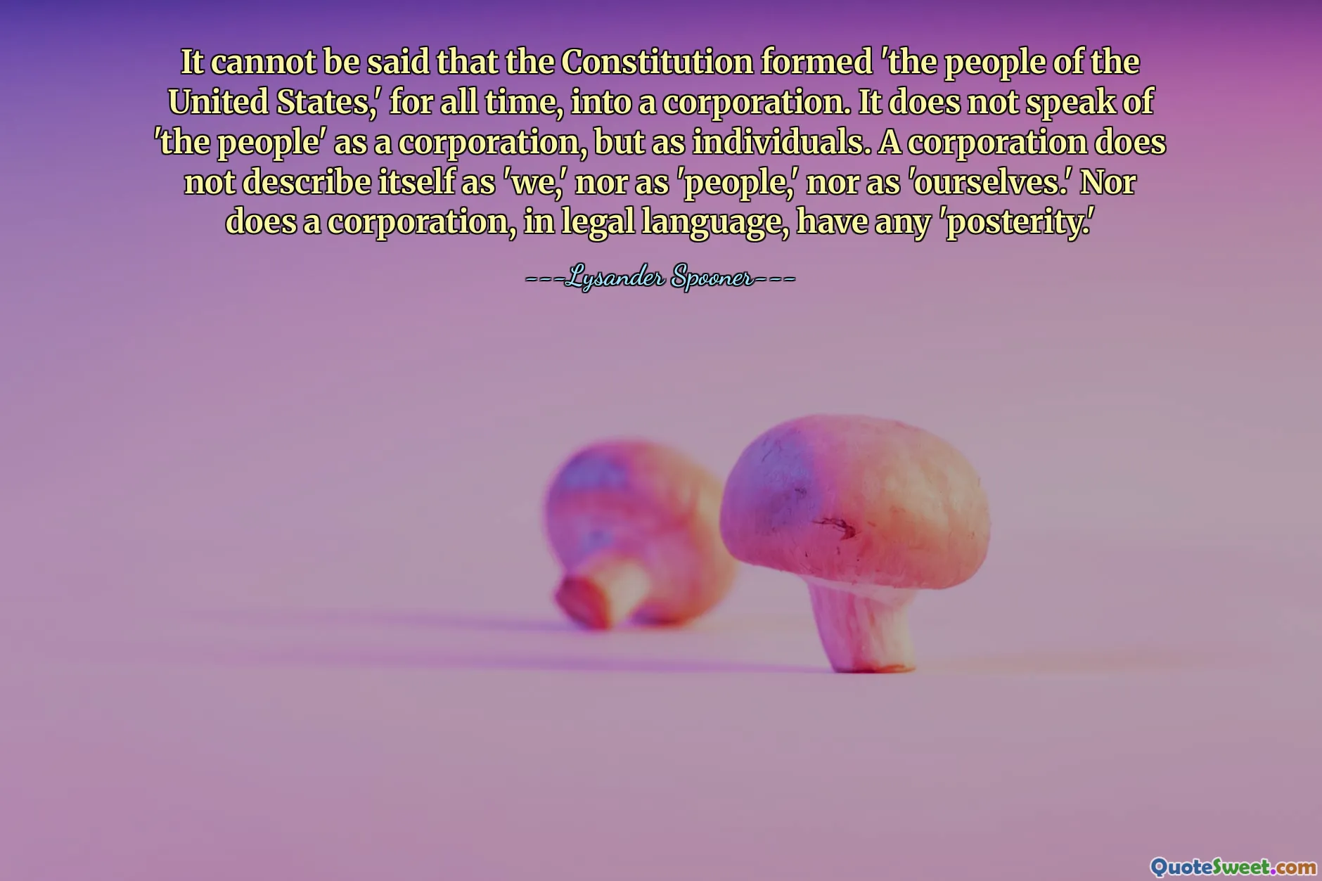 It cannot be said that the Constitution formed 'the people of the United States,' for all time, into a corporation. It does not speak of 'the people' as a corporation, but as individuals. A corporation does not describe itself as 'we,' nor as 'people,' nor as 'ourselves.' Nor does a corporation, in legal language, have any 'posterity.'