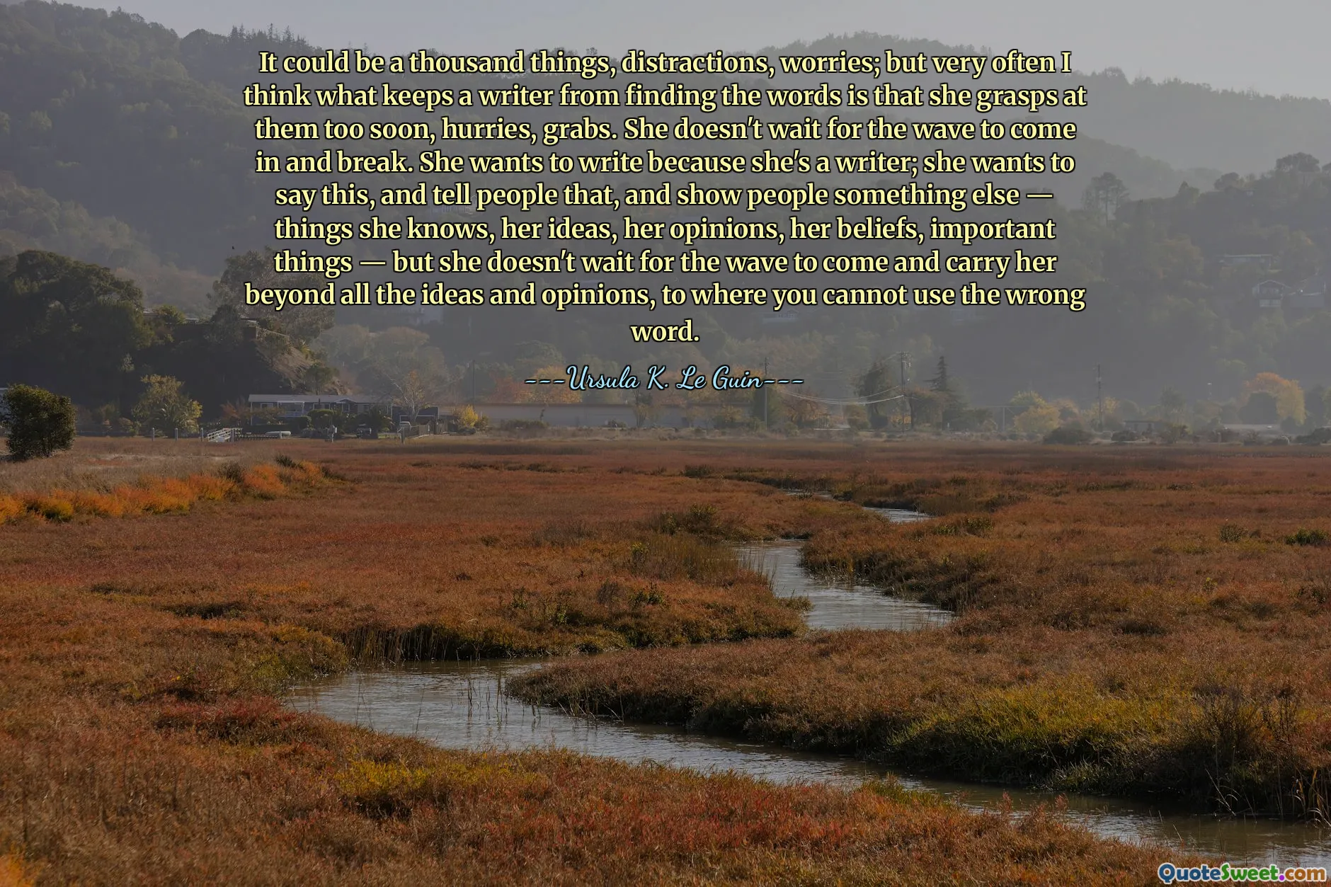 It could be a thousand things, distractions, worries; but very often I think what keeps a writer from finding the words is that she grasps at them too soon, hurries, grabs. She doesn't wait for the wave to come in and break. She wants to write because she's a writer; she wants to say this, and tell people that, and show people something else — things she knows, her ideas, her opinions, her beliefs, important things — but she doesn't wait for the wave to come and carry her beyond all the ideas and opinions, to where you cannot use the wrong word.