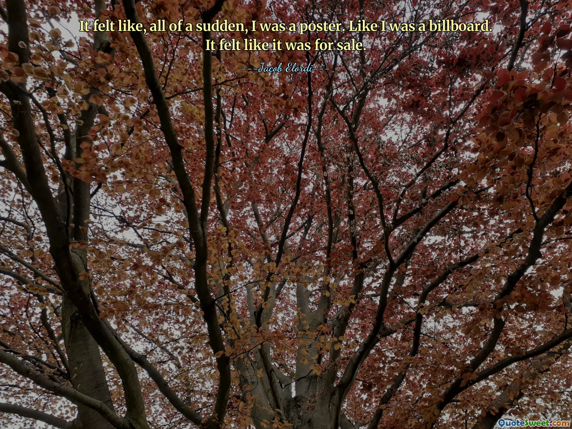 It felt like, all of a sudden, I was a poster. Like I was a billboard. It felt like it was for sale.