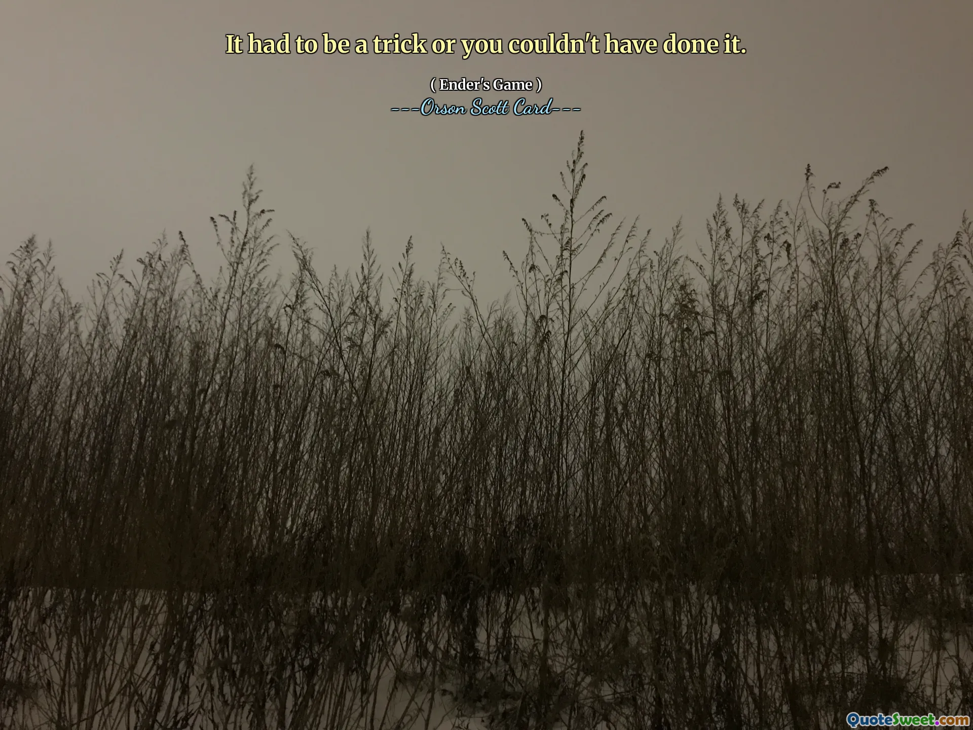 それはトリックでなければできませんでした。