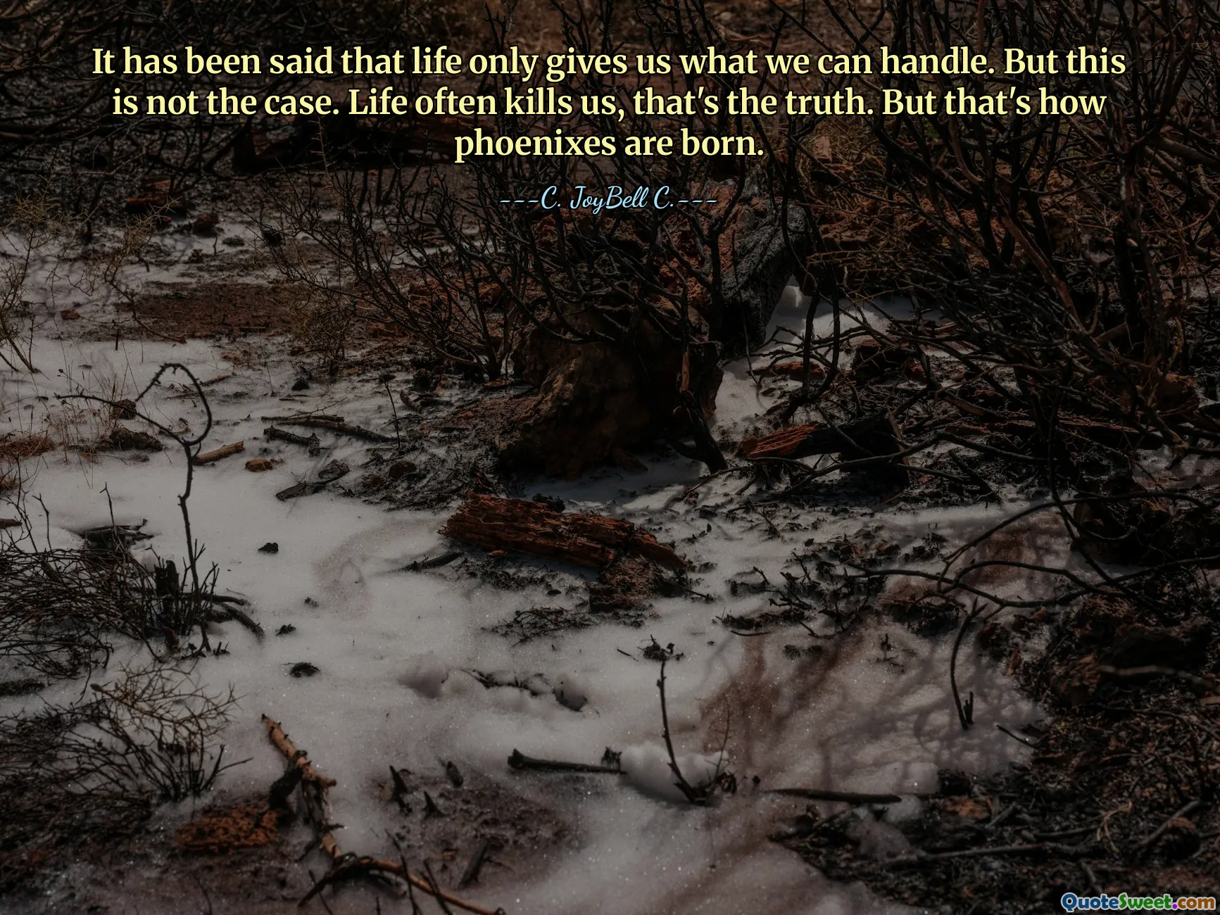 It has been said that life only gives us what we can handle. But this is not the case. Life often kills us, that's the truth. But that's how phoenixes are born.